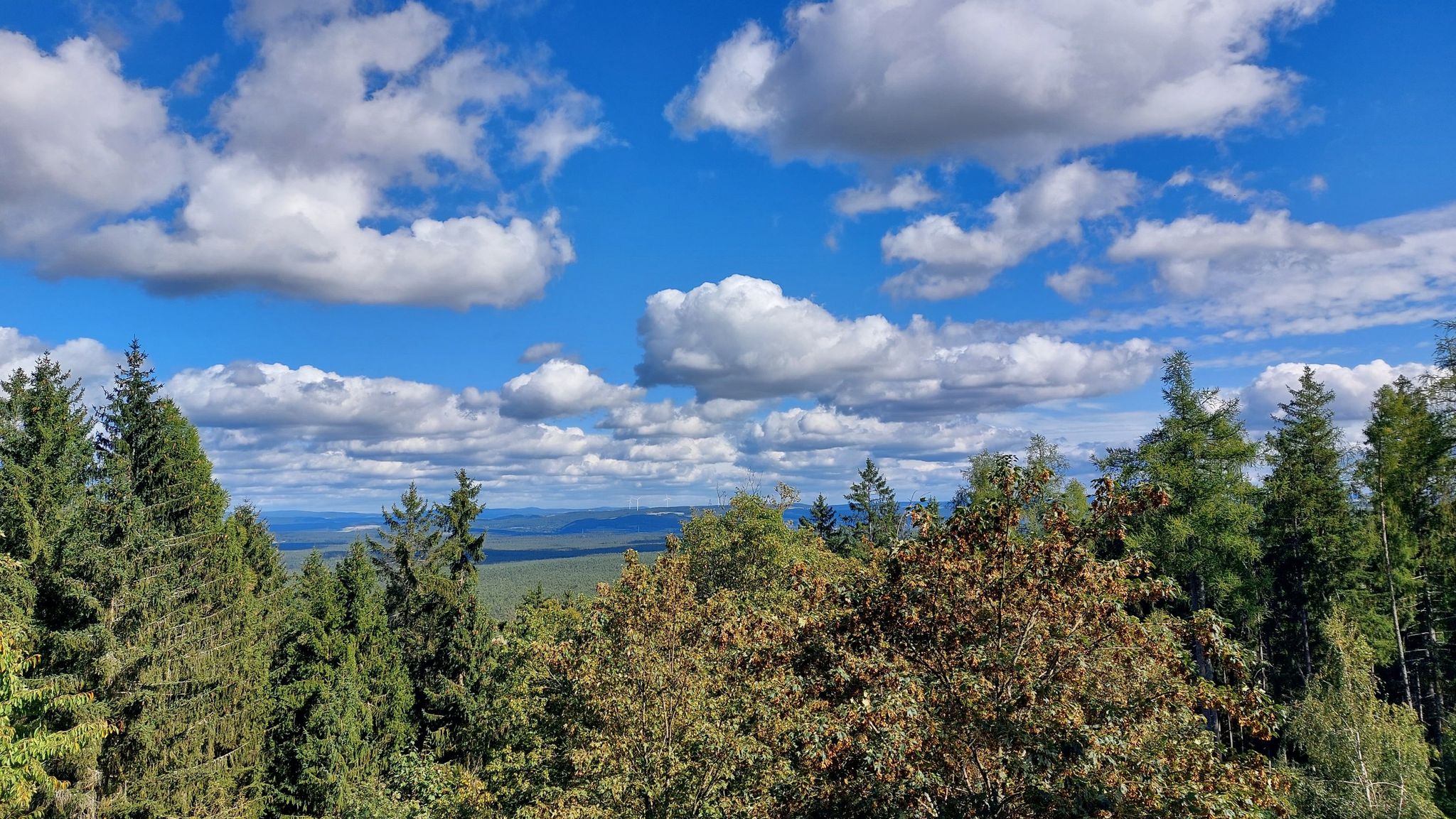 Blick Richtung Böhmen, langsam wächst es zu