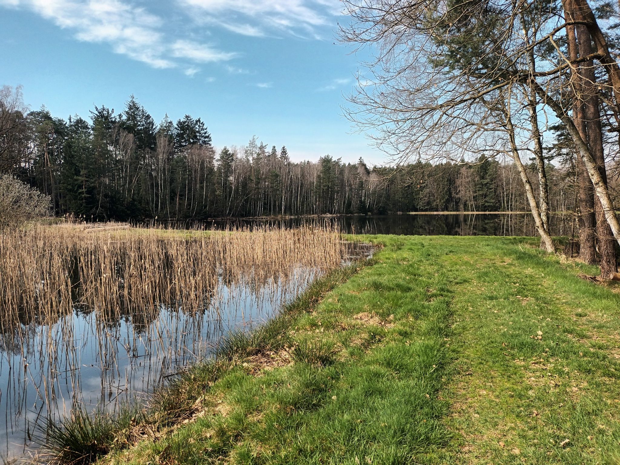 Weiher