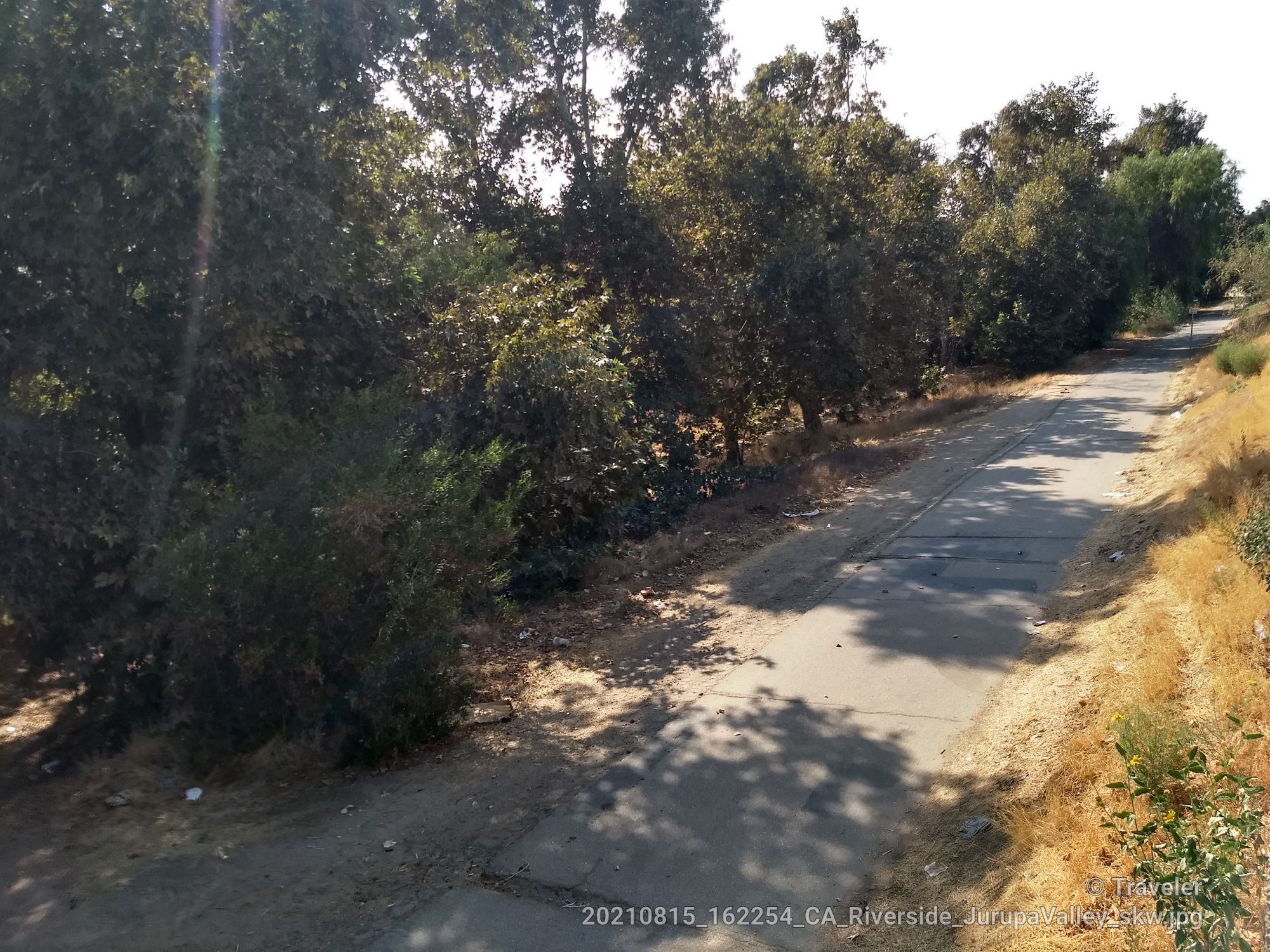 Shaded paved path bordered by dense green trees and dry grass on a sunny day. - Santa Ana River Trail