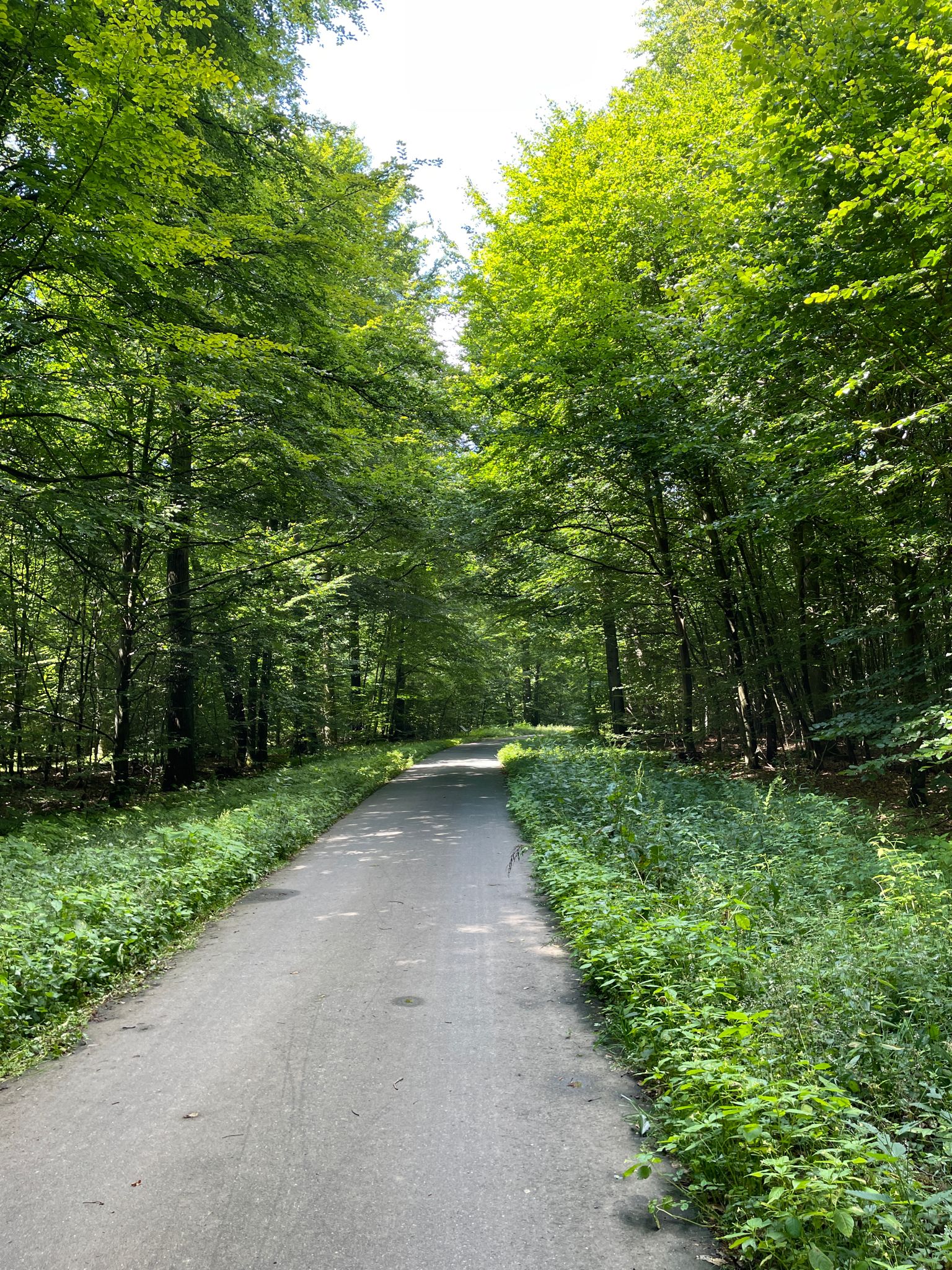 Bobenwald