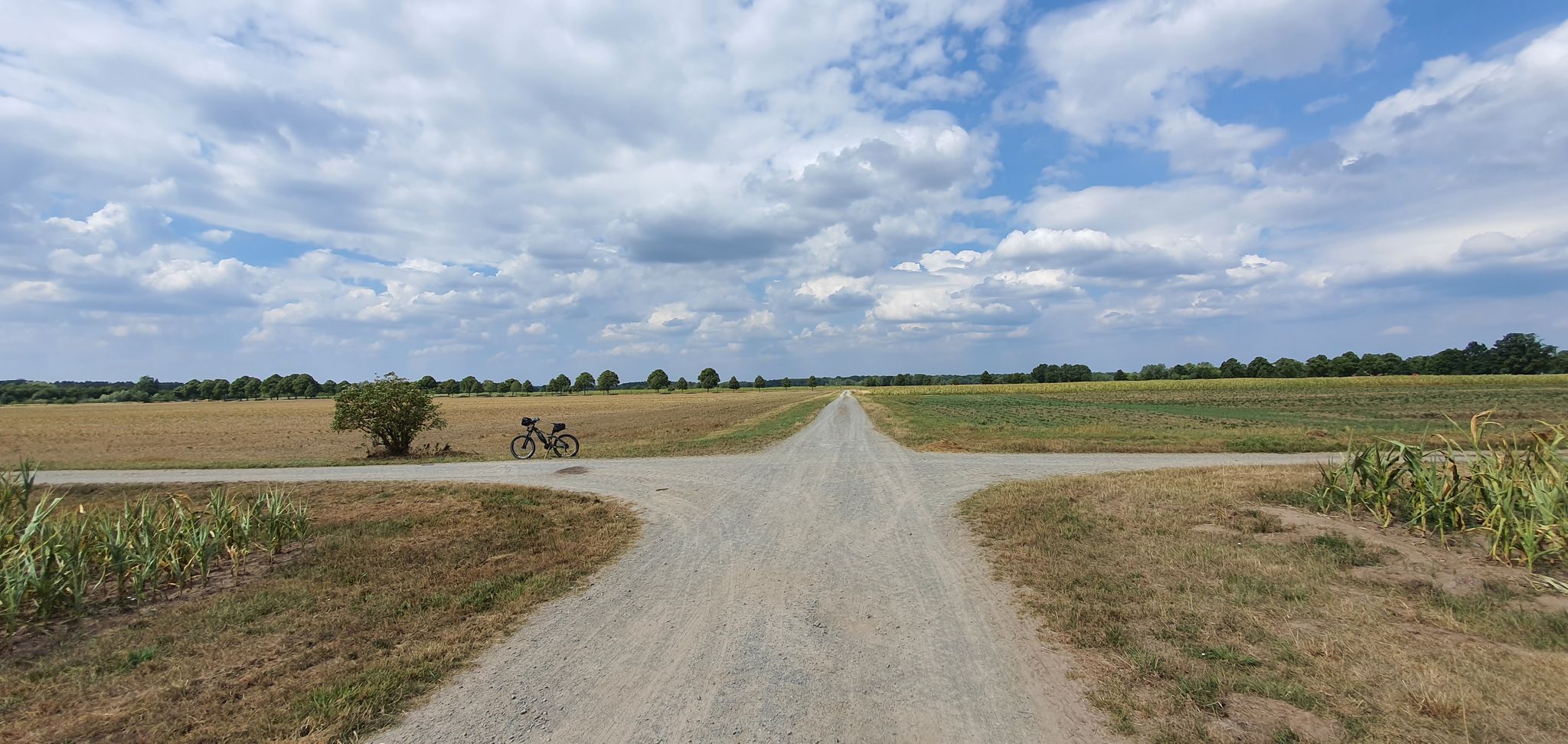 Wegkreuzung - links fahren - rechts gehts nach Grafhorst