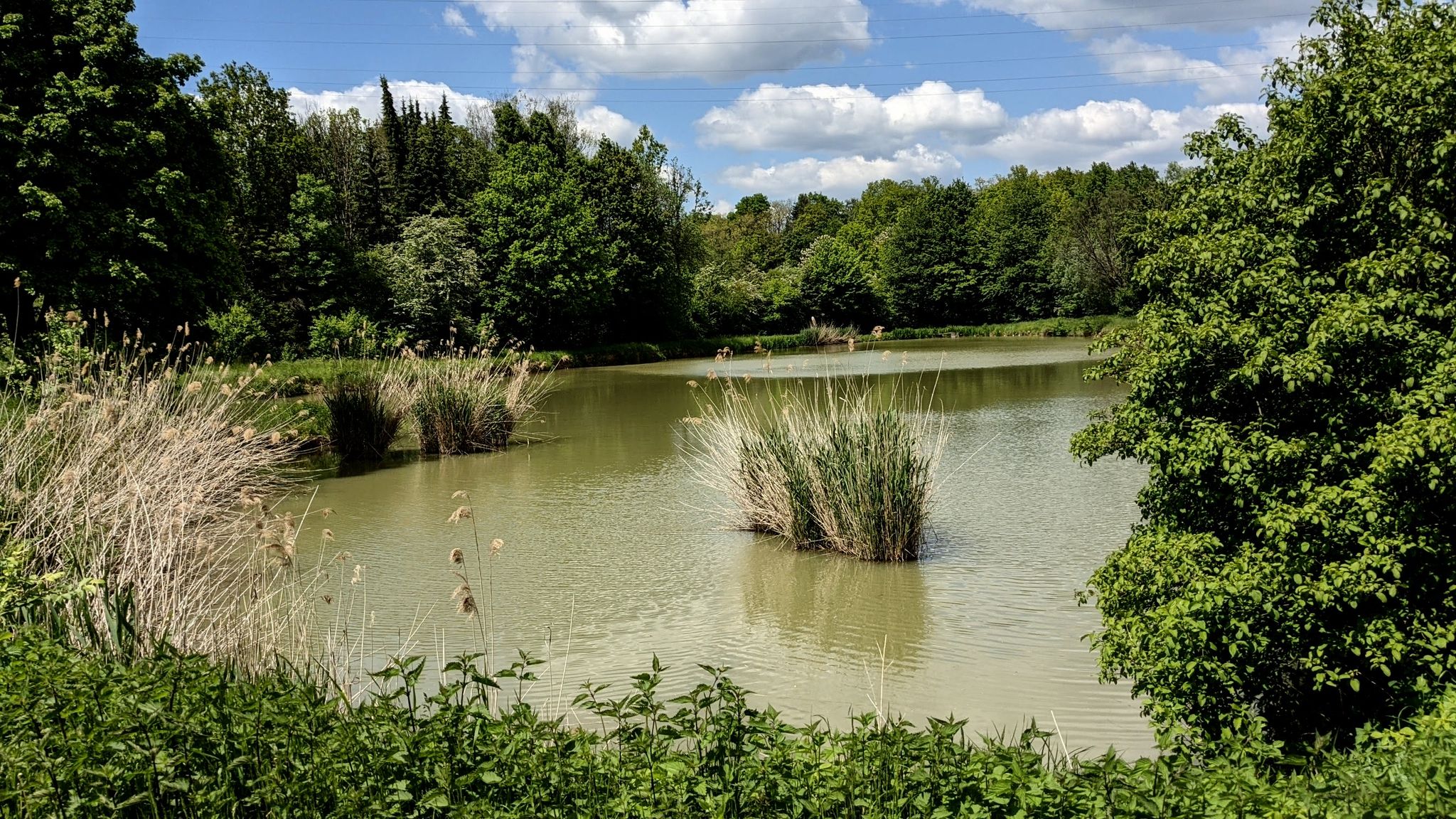 an den 10-Seen bei Billigheim