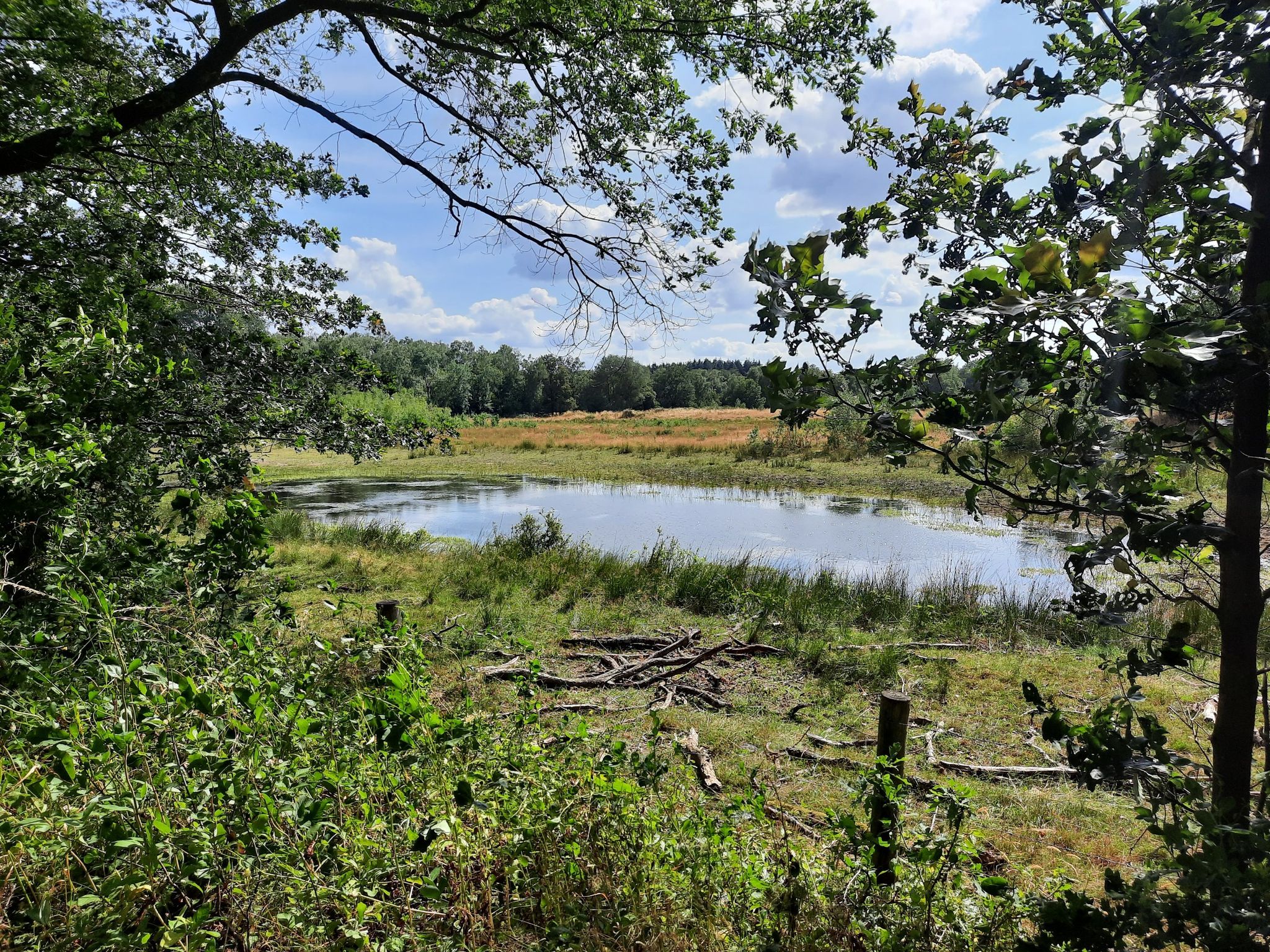 Zwarte Water