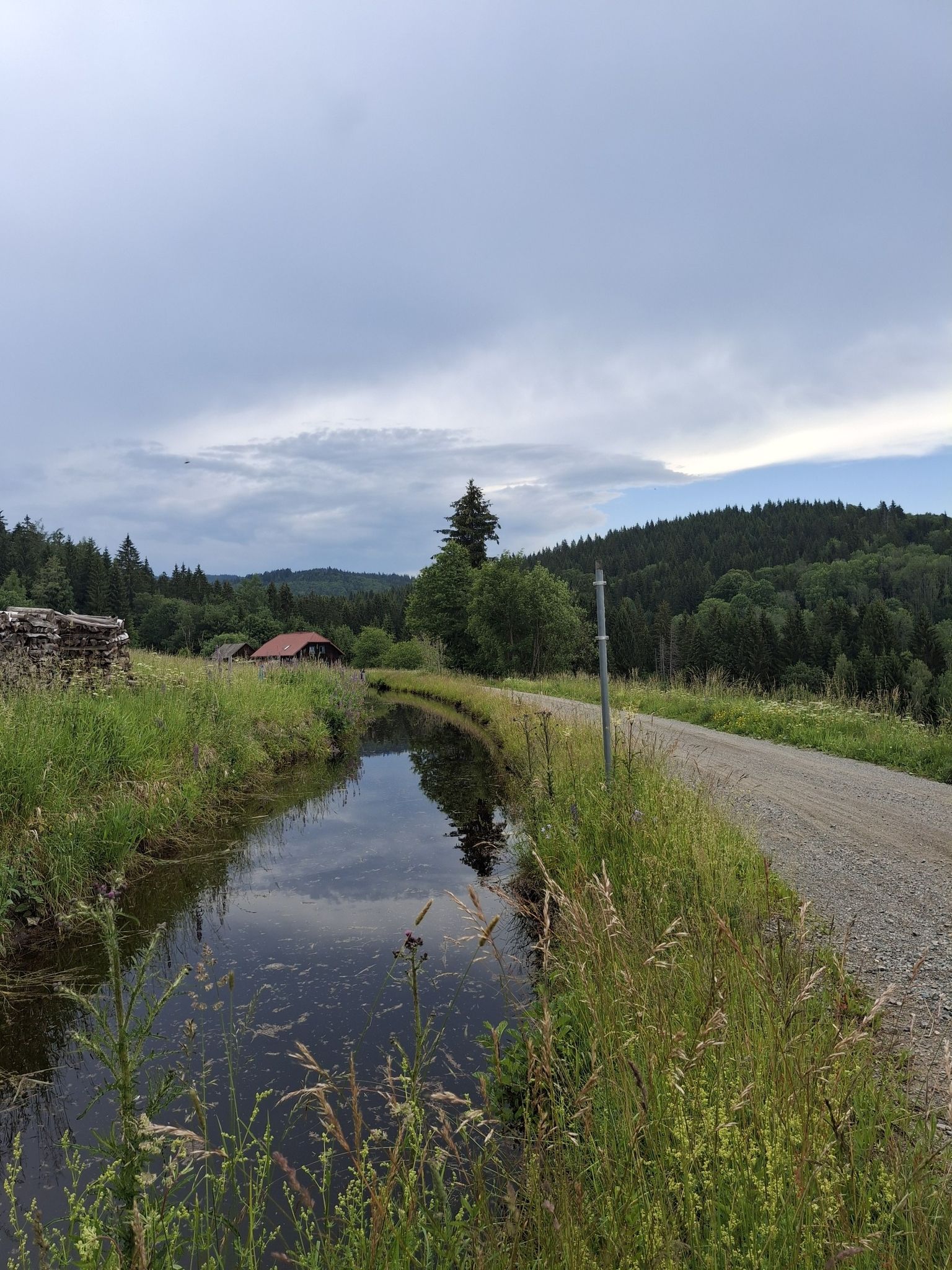 Beste schotterforstwege. Alles ausgeschildert