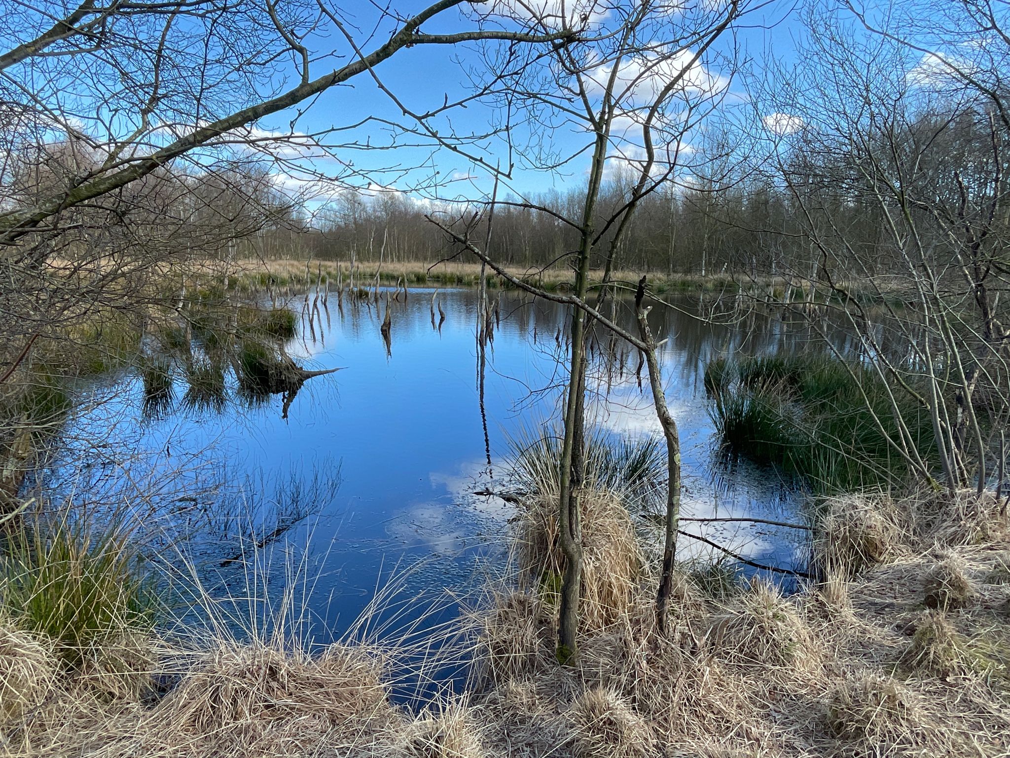 Owschlager Moor