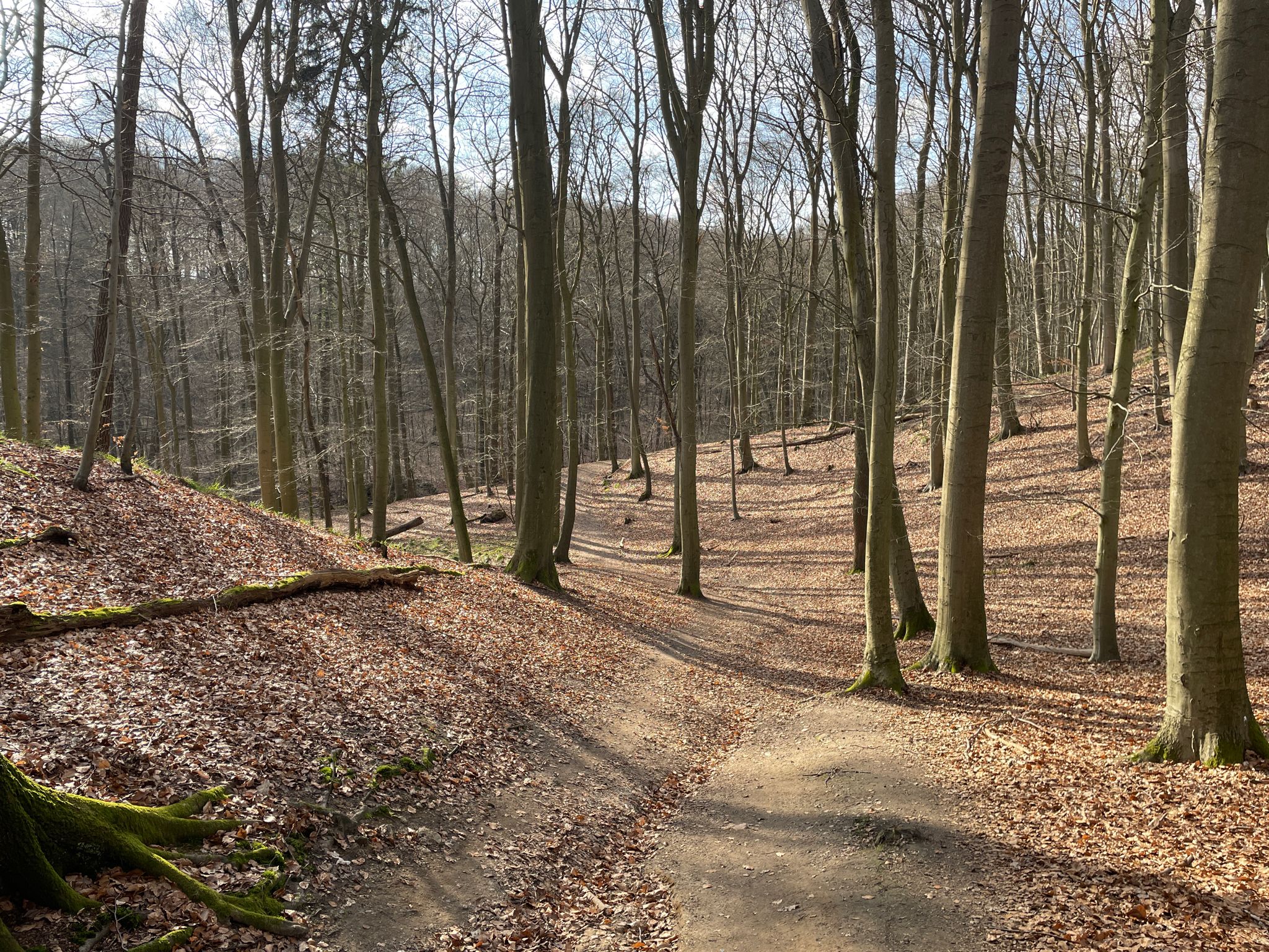 Dalbekschlucht