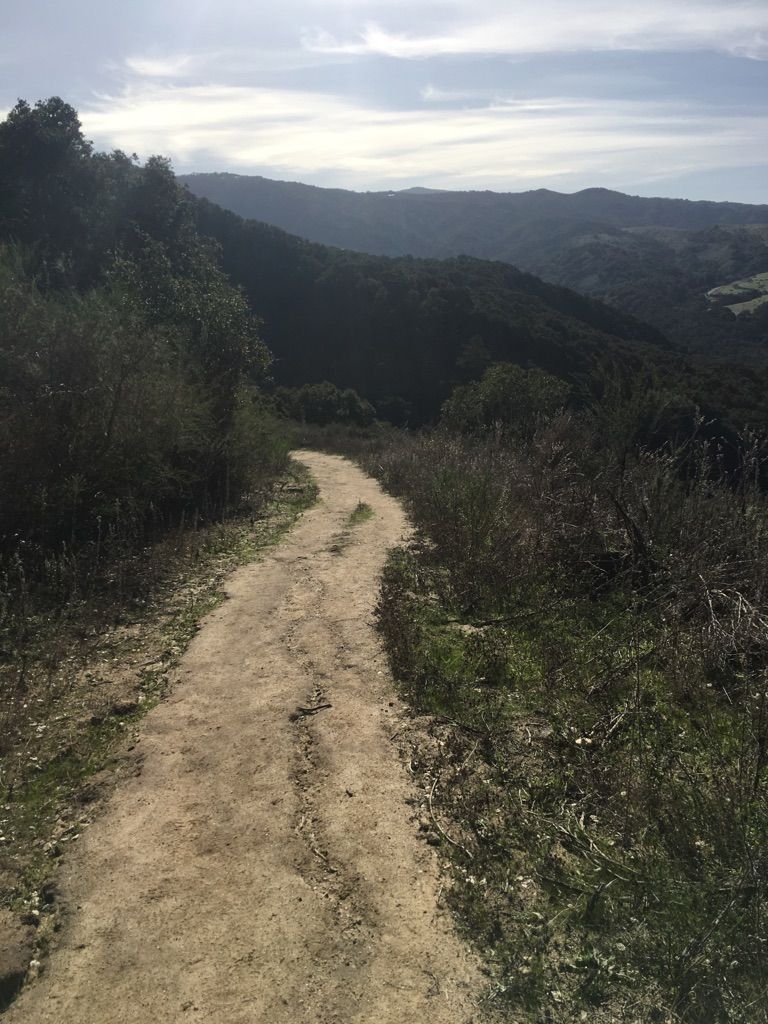 A winding dirt path leads through green hills under an overcast sky. - Snively's Ridge Trail loop from Carmel Valley Ranch Golf Course