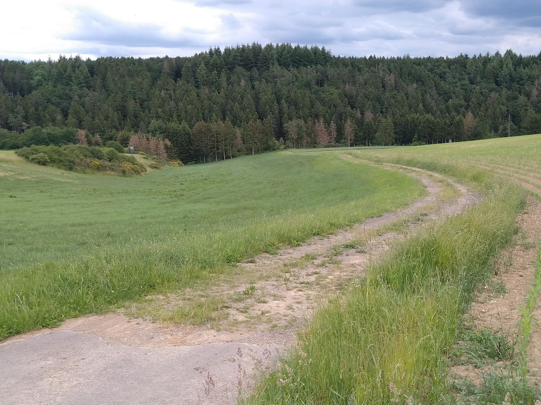 Der Weg sieht doch klasse aus!