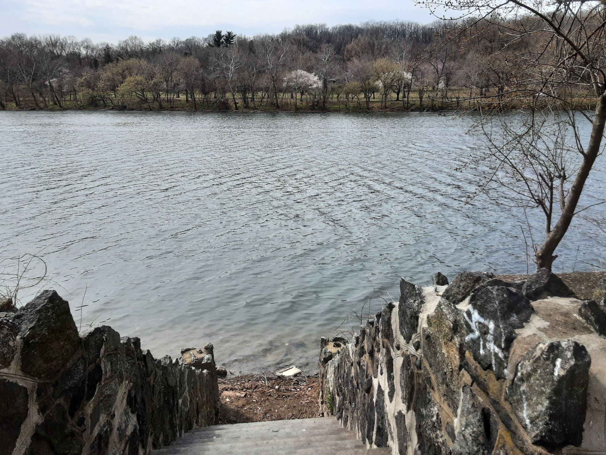 Stone steps descend to a wide river with a wooded far bank. - Martin Luther King Jr. Drive – Boathouse Row loop from 2nd Street