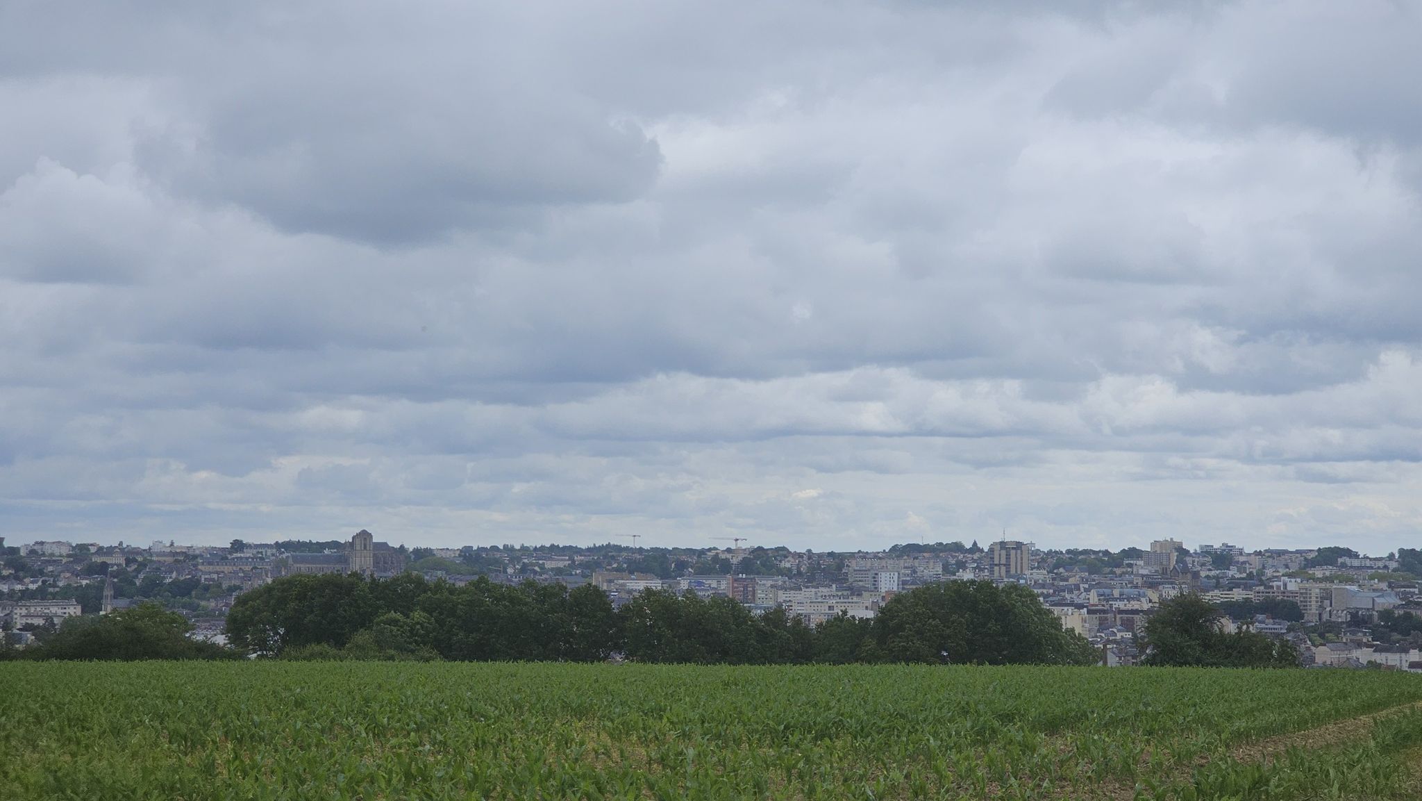 Le Mans