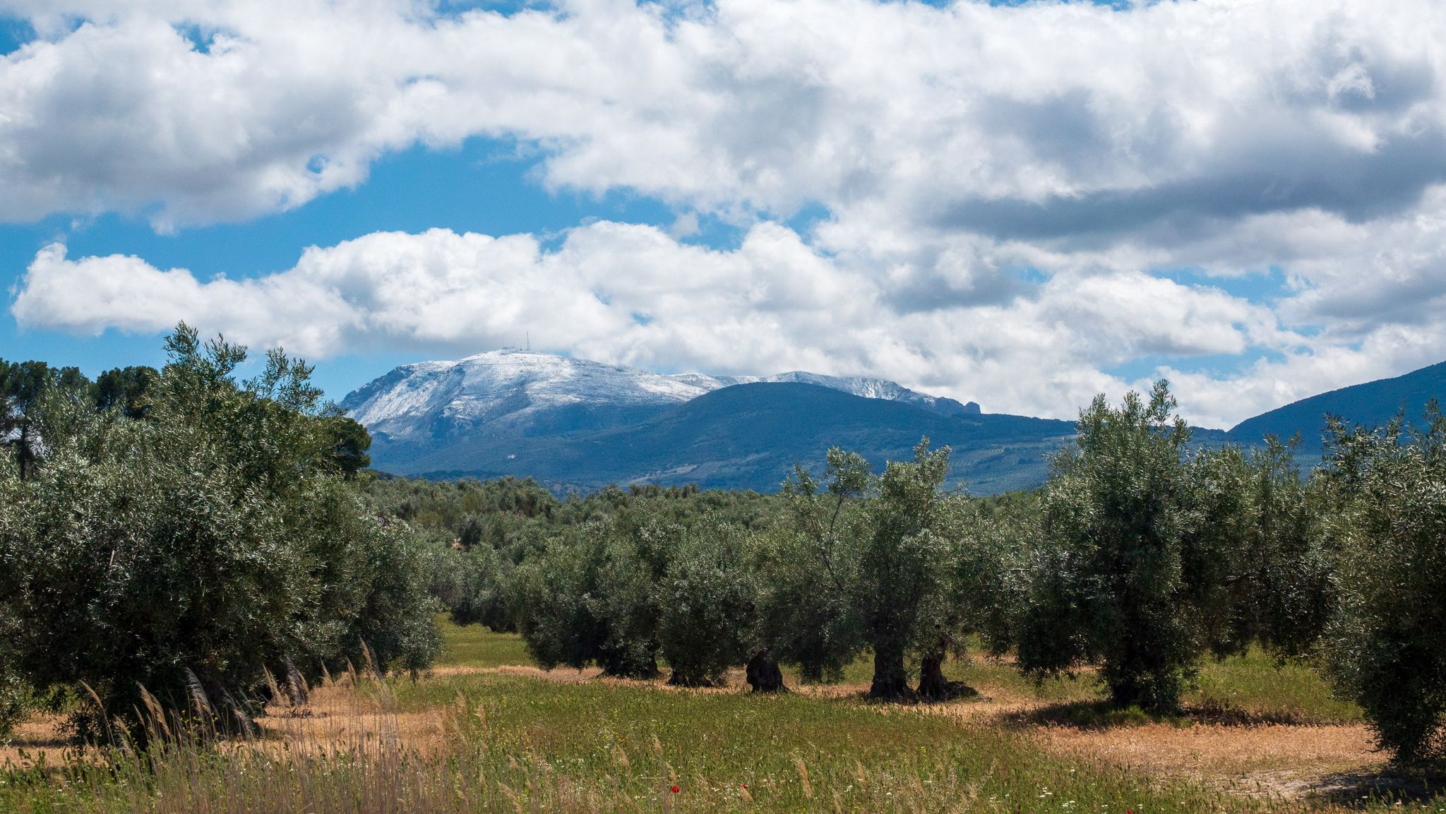 Toegang tot het natuurpark Sierra Mágina