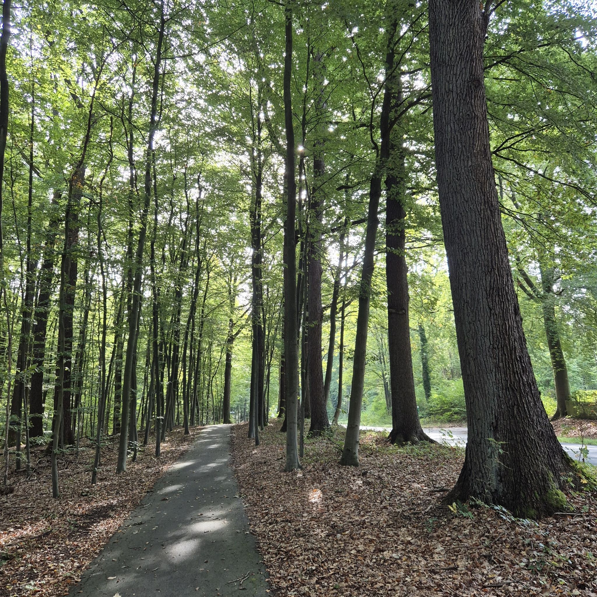so lässt es sich auch neben einer Straße gut gehen
