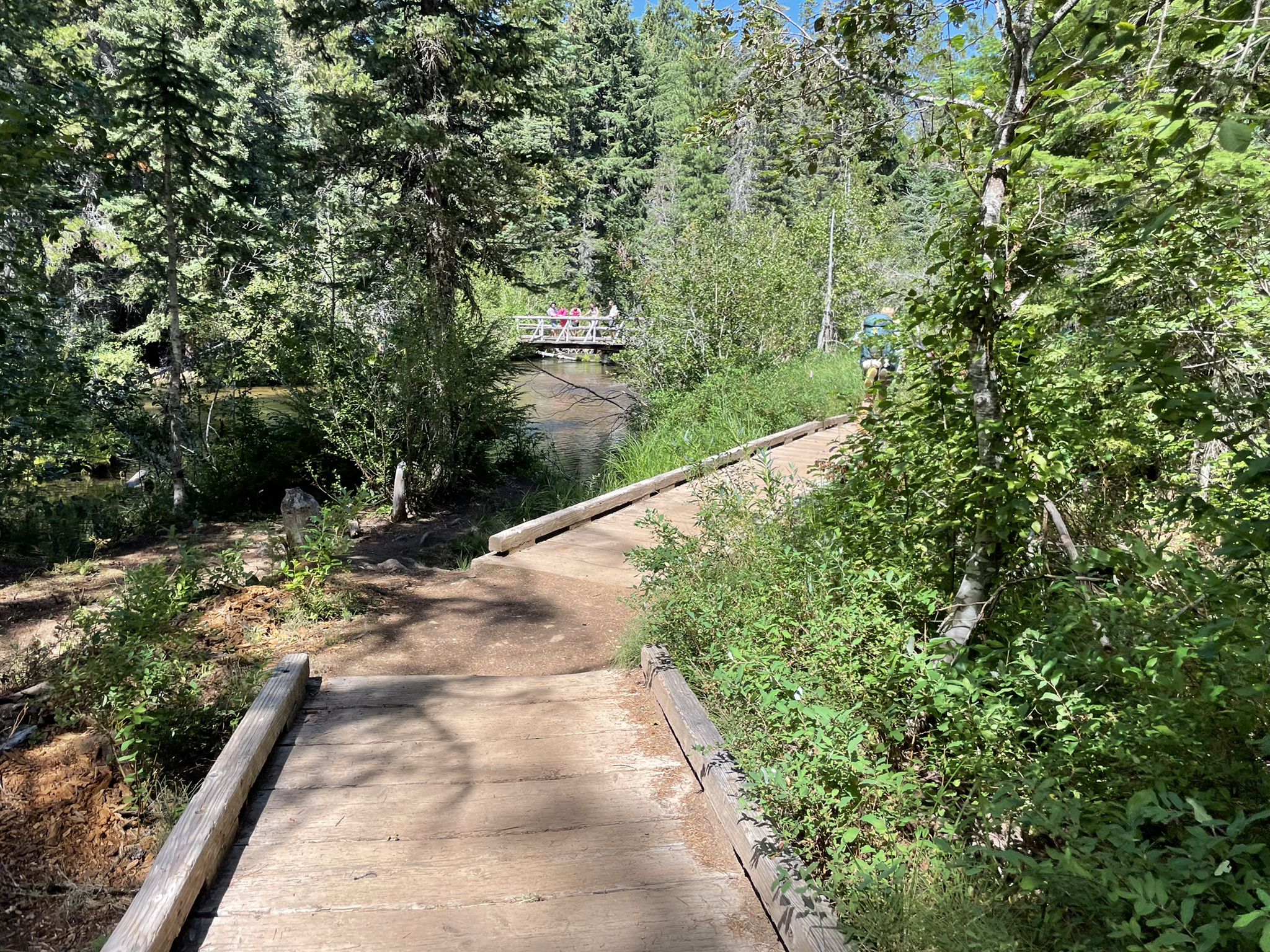 Wooden boardwalk leads through green foliage towards a distant bridge with people. - Timothy Lake – Timothy Lake loop from Gone Creek Campground