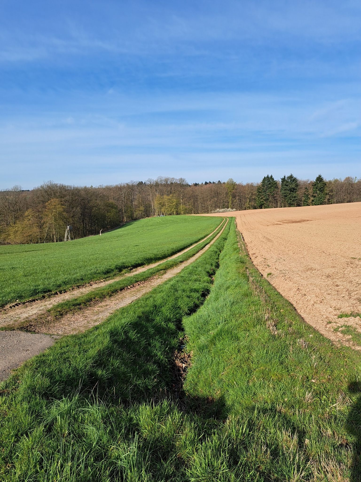 wandern