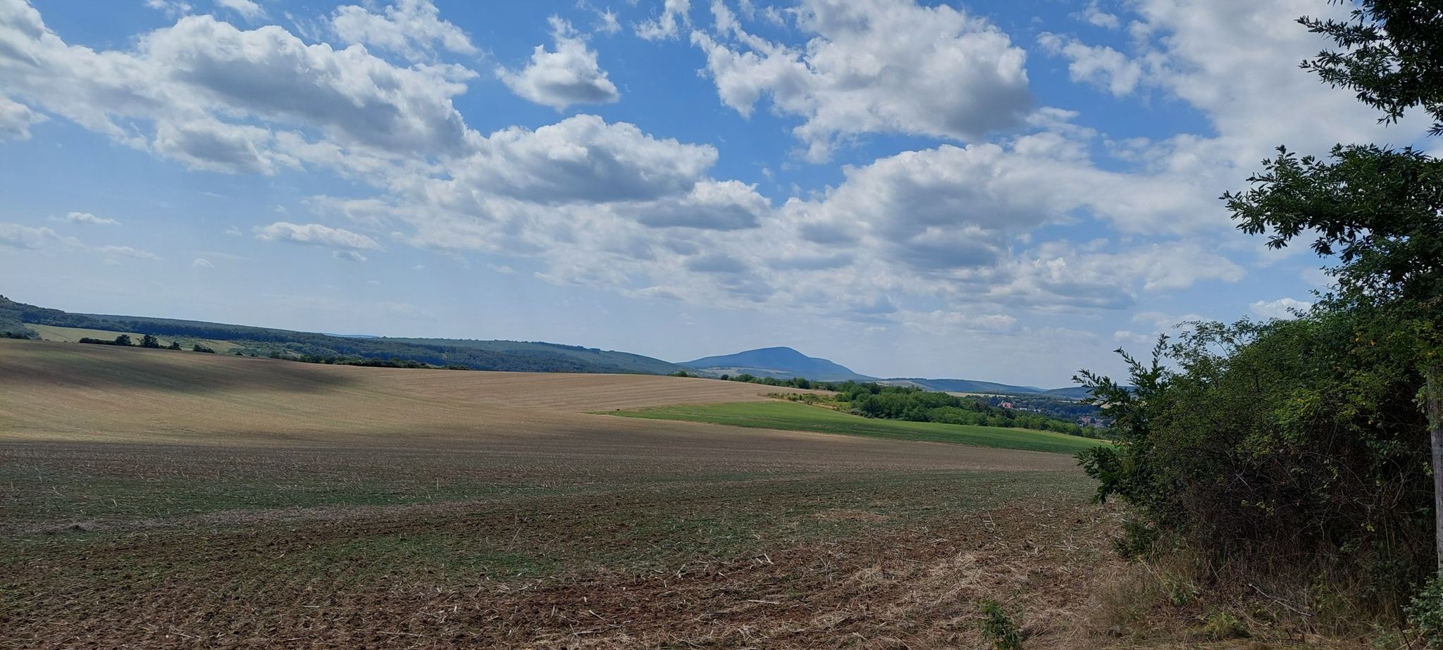 links der Strecke