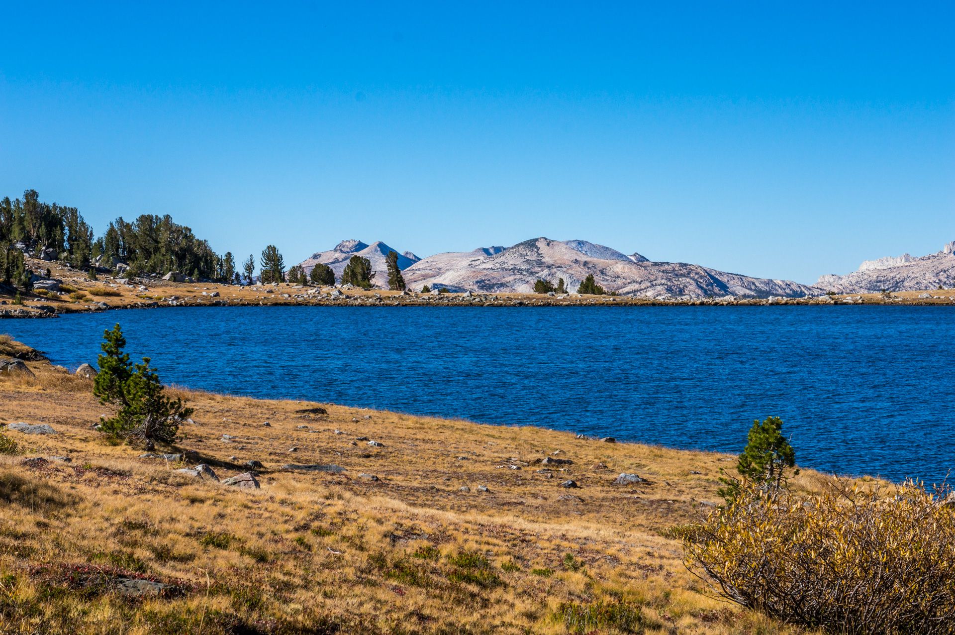 A large blue lake with a rocky, grassy shore and distant mountains. - Gaylor Lakes Trail
