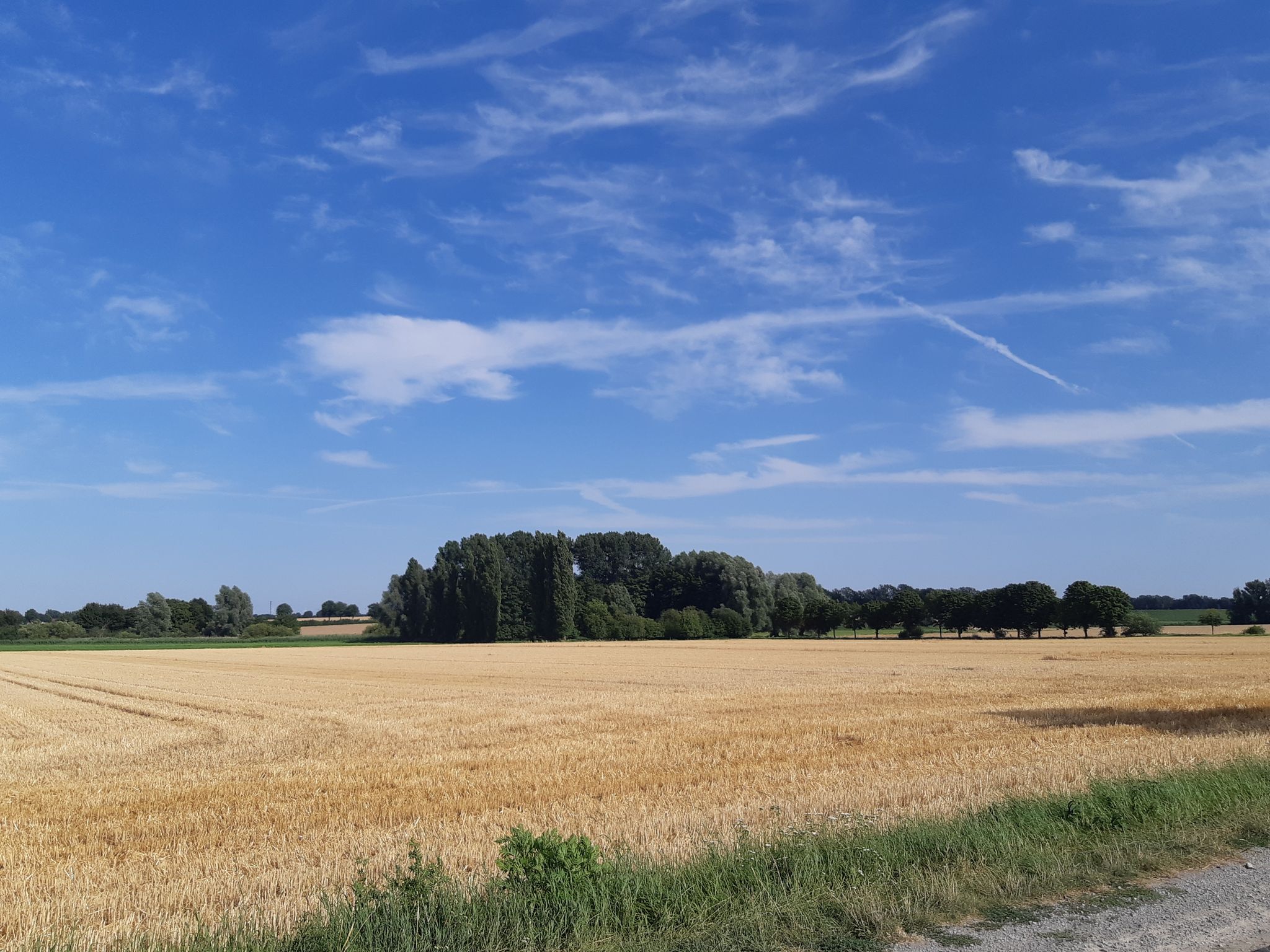 Abgemäht...