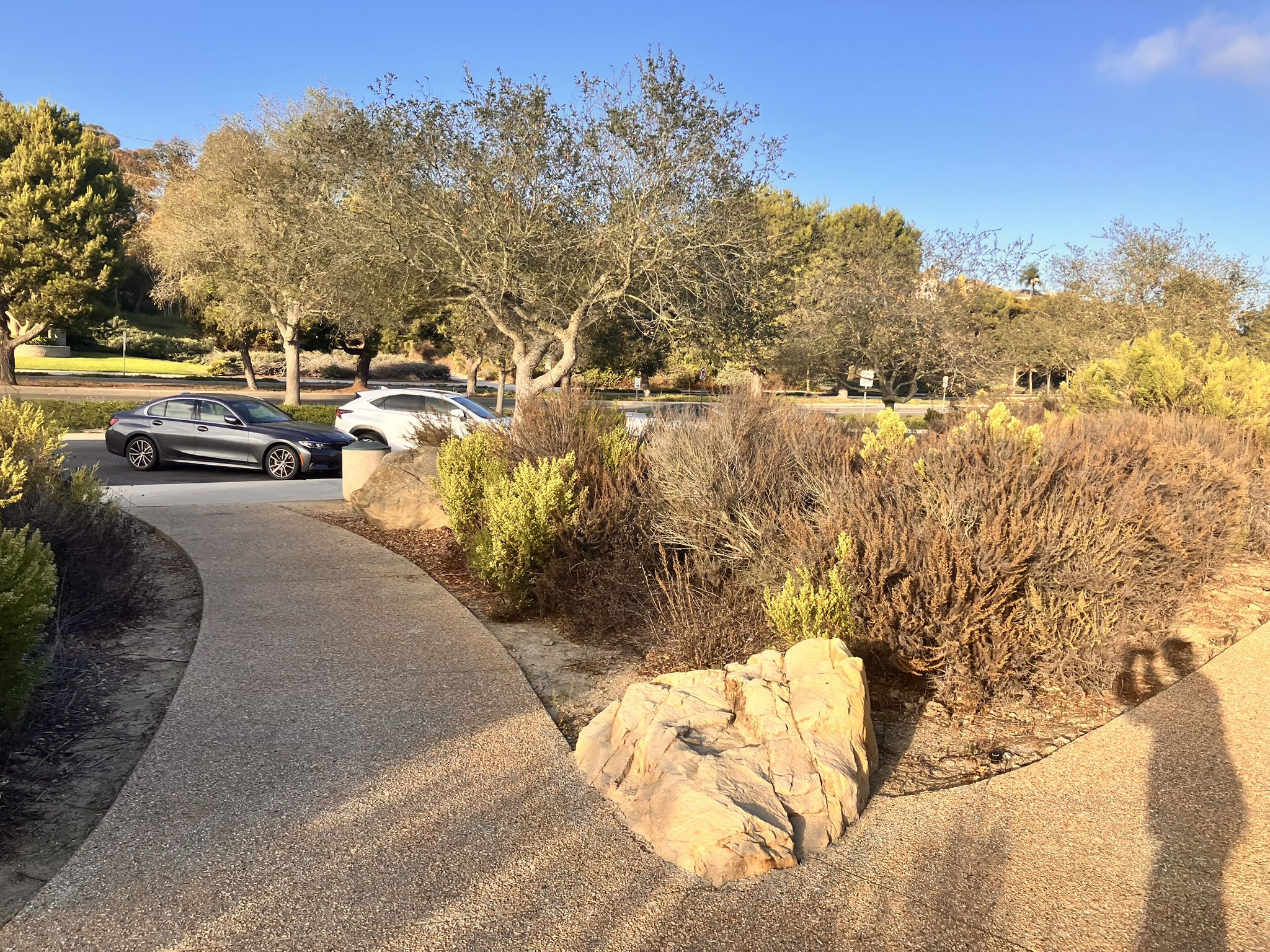Sunny paved path curves past dry bushes and trees, with cars and a person's shadow. - San Joaquin Hills Road Viewpoint