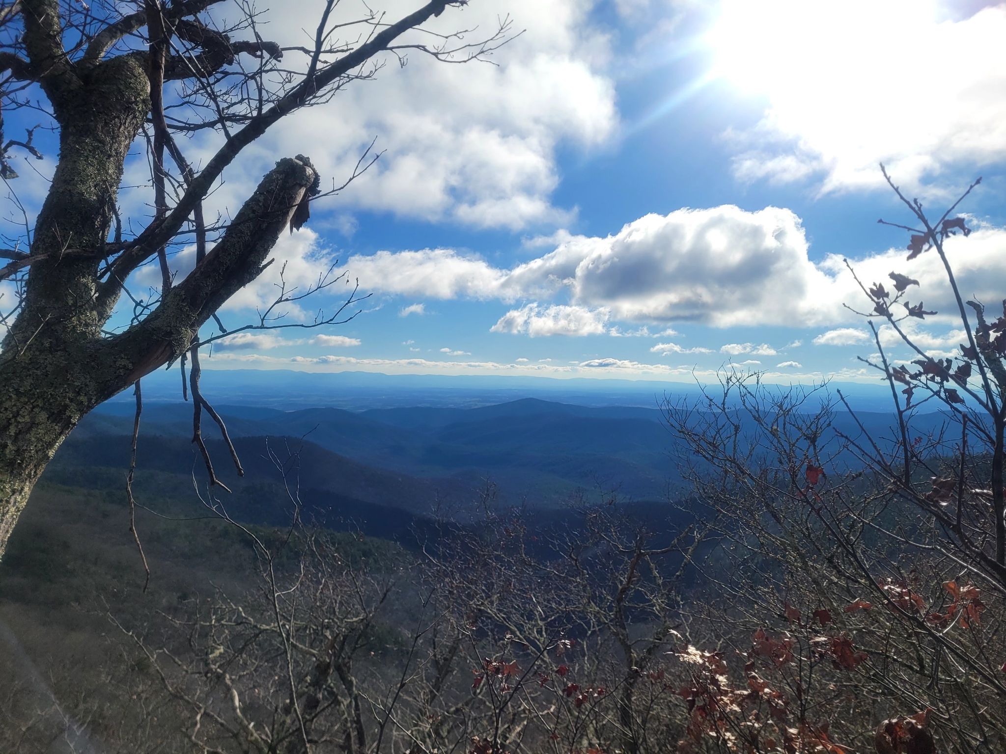 Bright mountain vista with bare branches, sun shining through clouds. - Wild Oak Loop