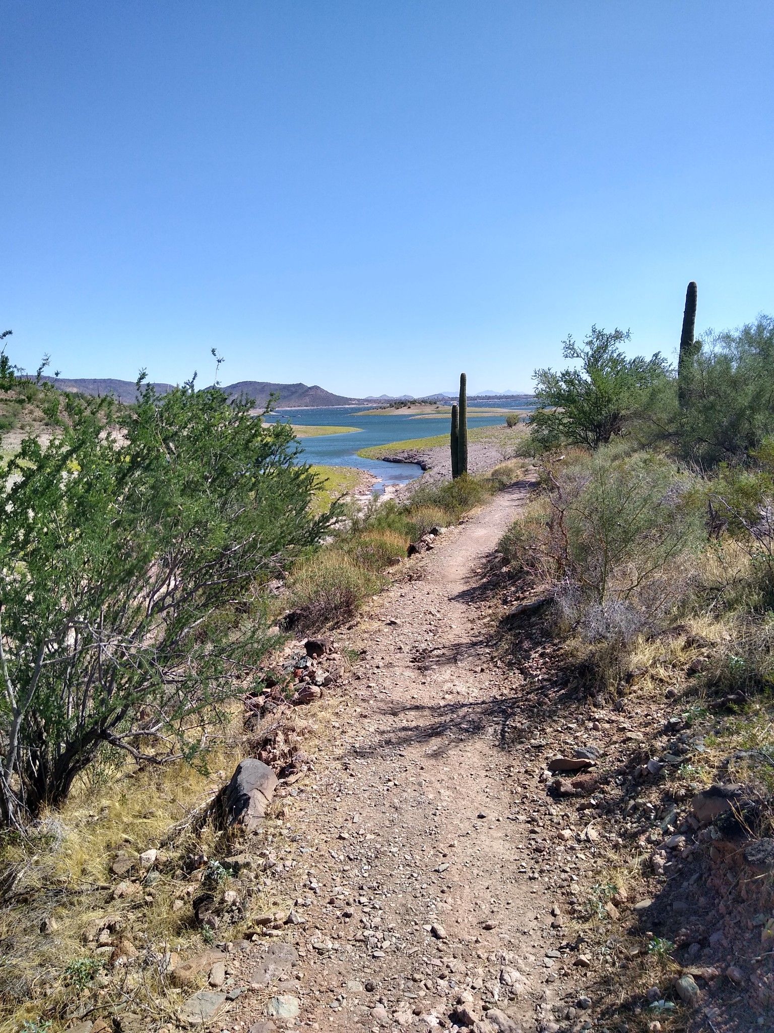A dirt path winds through desert shrubs towards a blue lake and mountains. - Wild Burro Trail