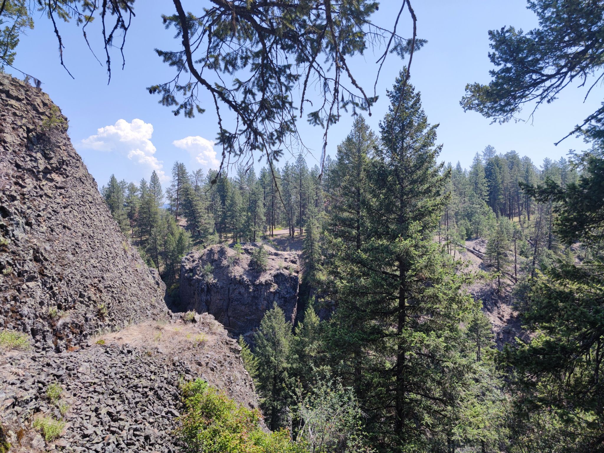 A rocky canyon wall with tall pine trees and a bright sky with clouds. - Pine Bluff and Trail 25 Loop