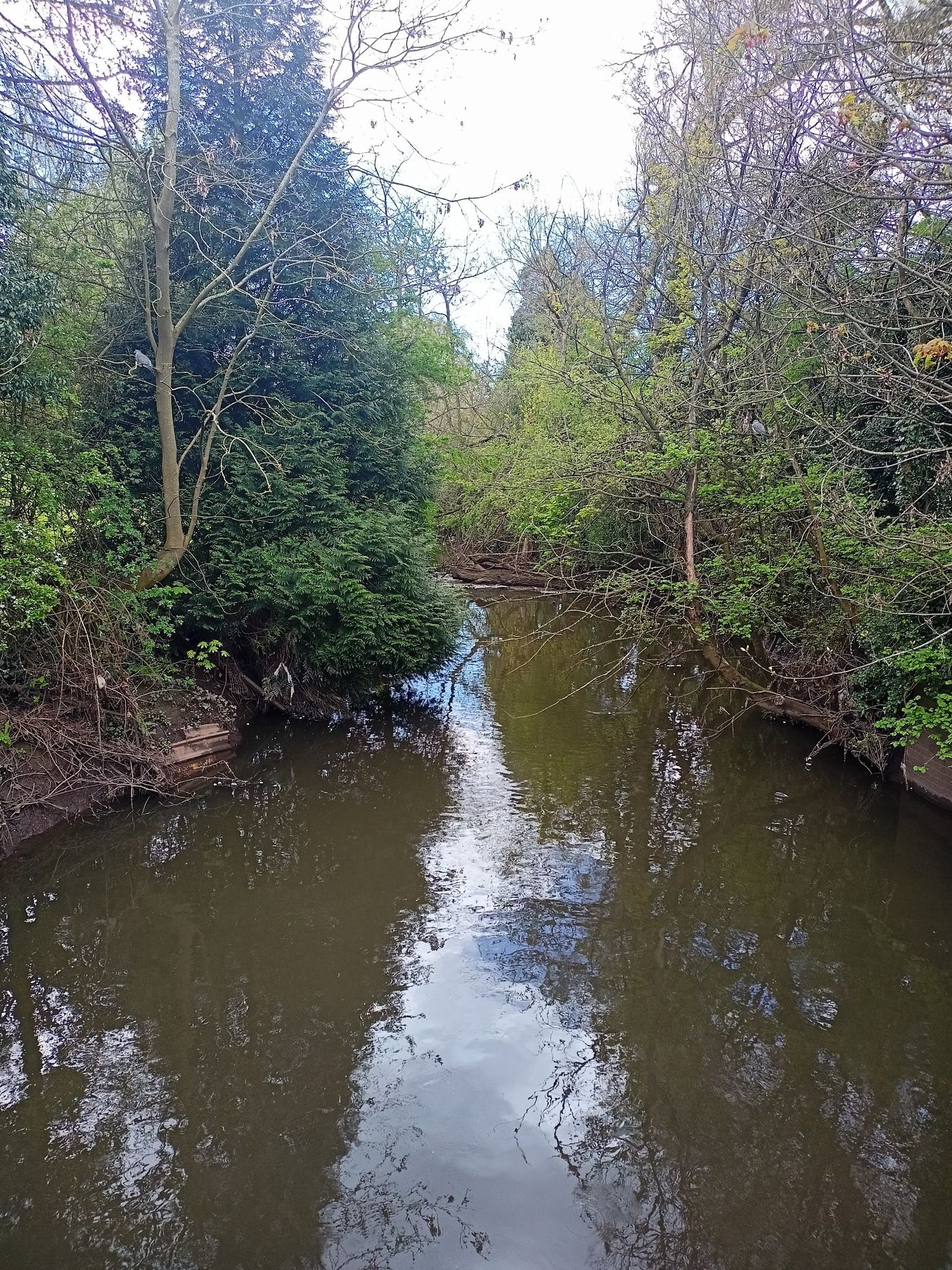 Bailey road Bridge over the sowe