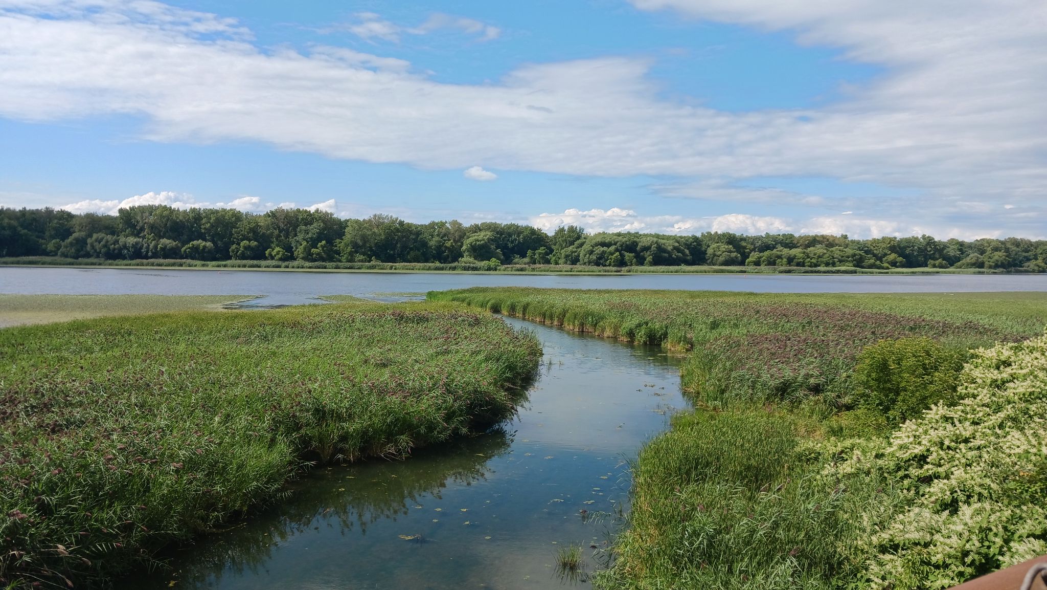 Winding stream through green marshland leading to a wide river. - Mohawk-Hudson Bike & Hike Trail loop from Boght Corners