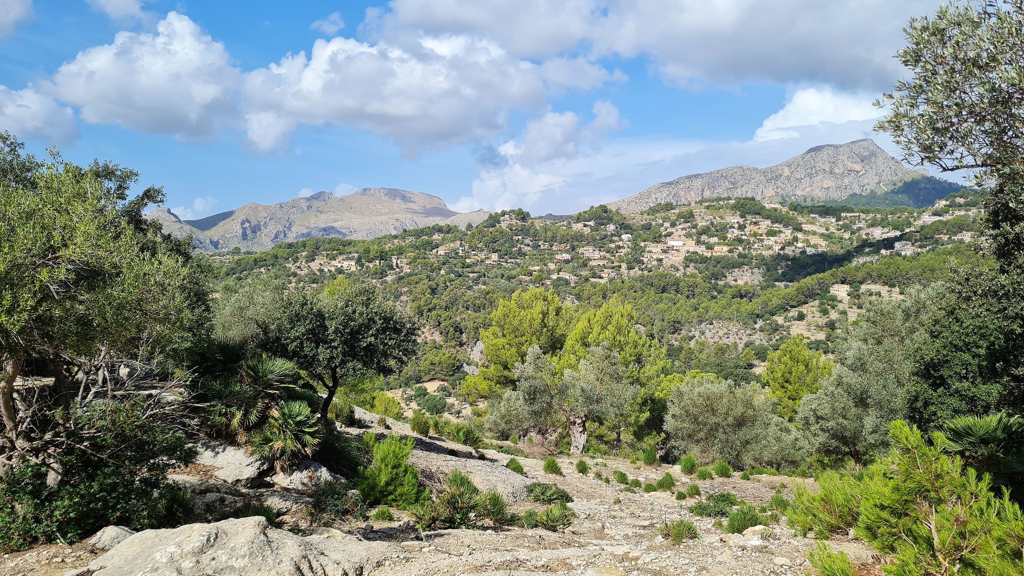 Blick zum Galatzó (rechts)