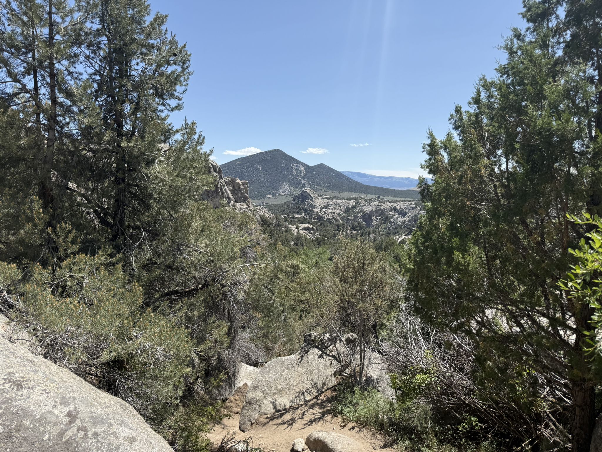View through evergreen trees to distant mountains under a bright blue sky. - Parking Lot Rock loop from City of Rocks National Reserve