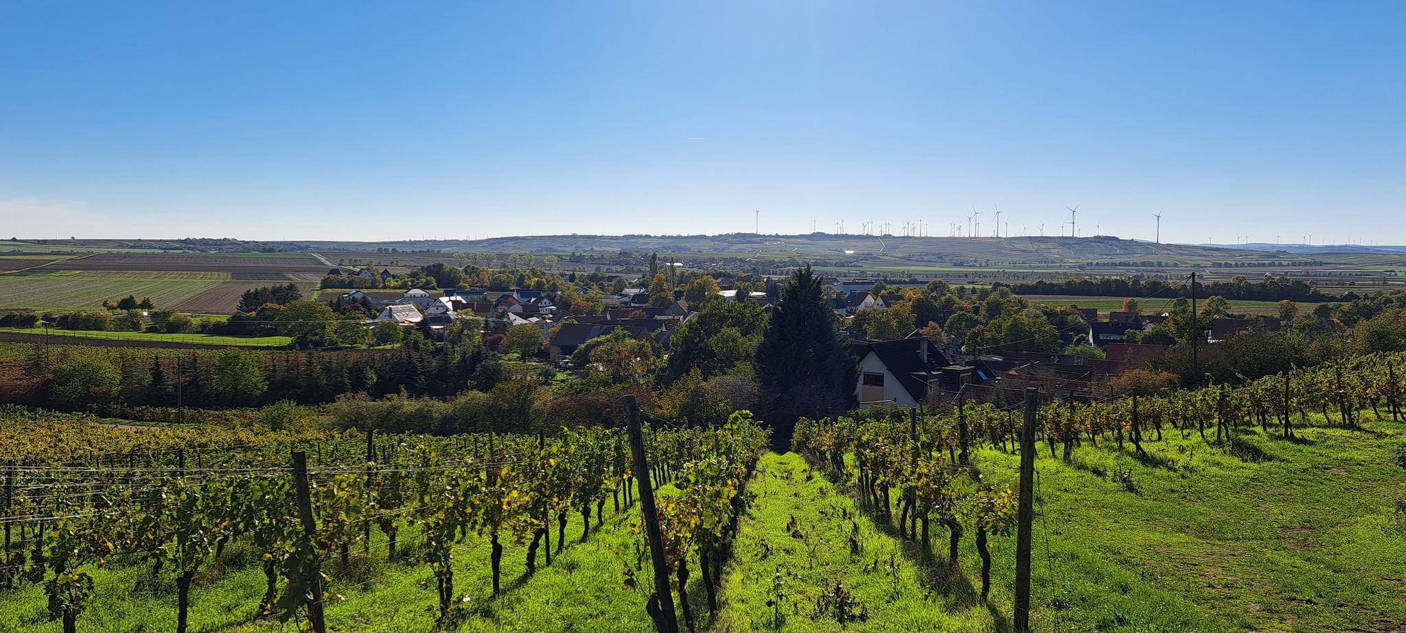 Hildesheim und Kloppberg