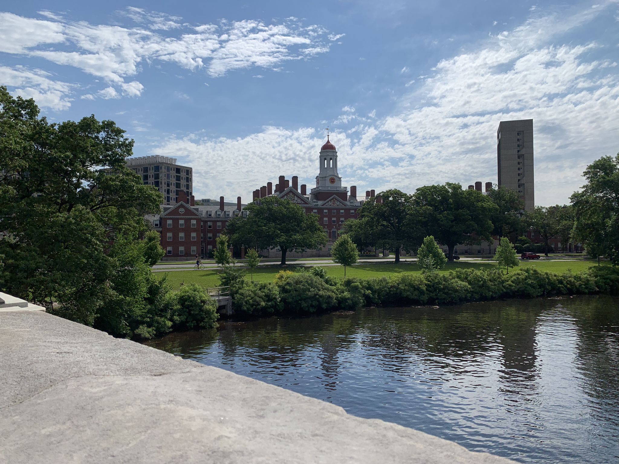 A river with a distant campus skyline and green trees under a cloudy sky. - Harvard Memorial Church – John W. Weeks Footbridge loop from Cambridge