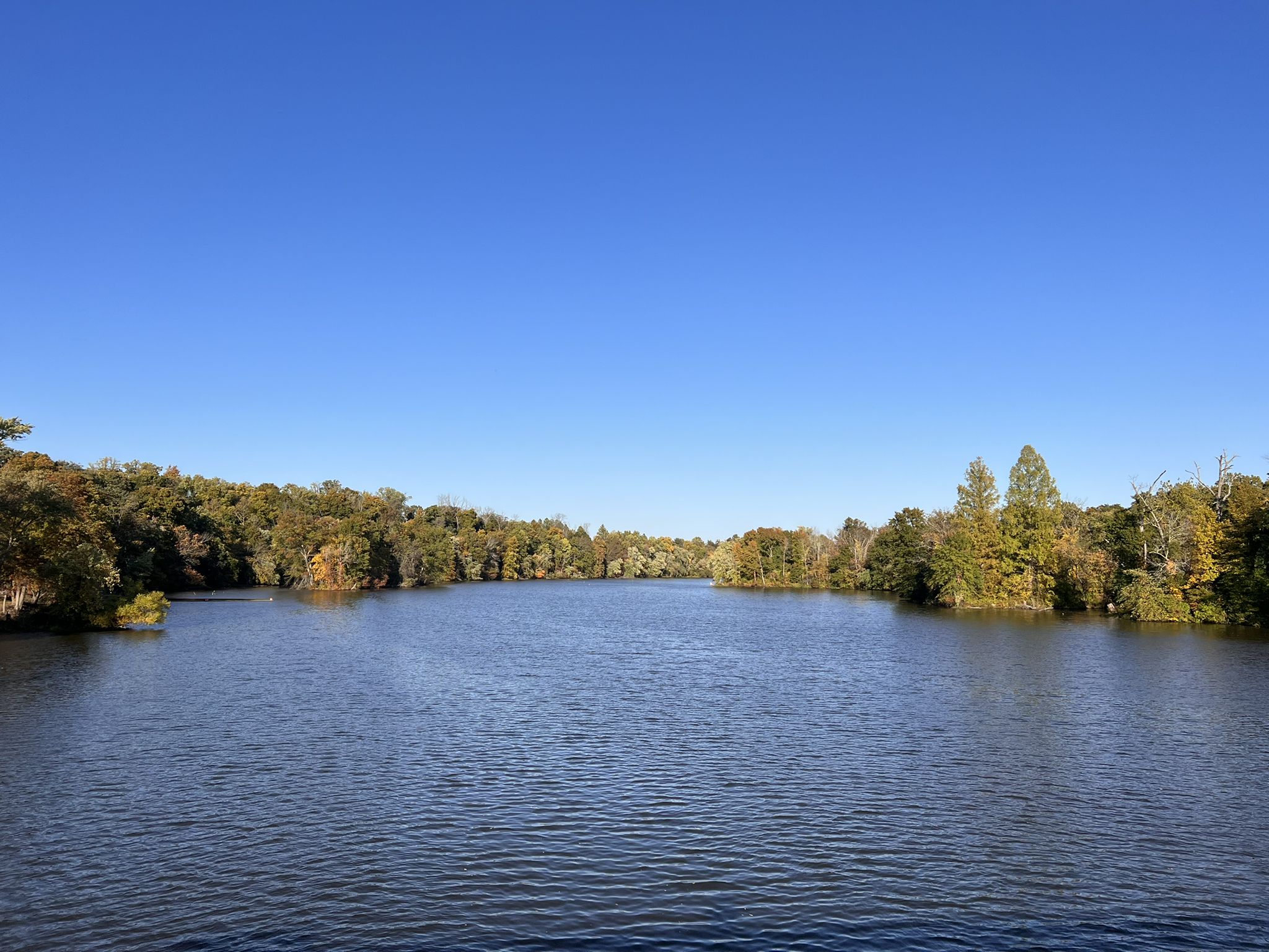 Lake Carnegie