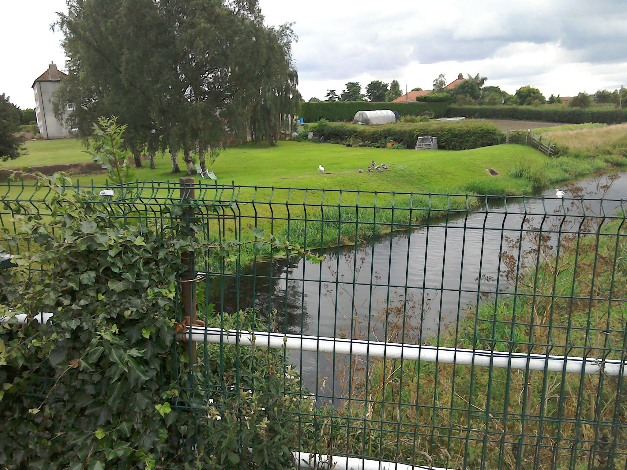 River Idle