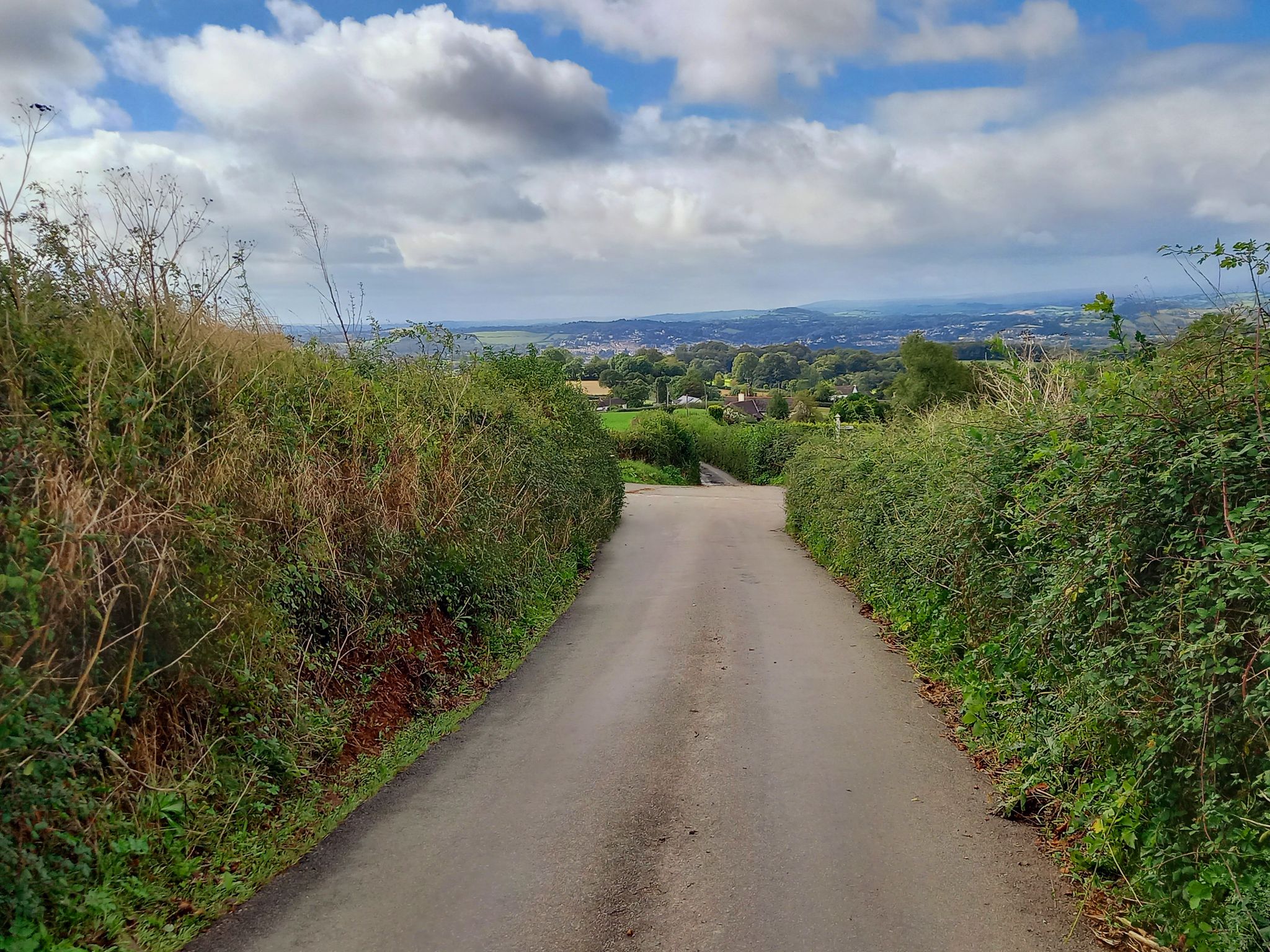 Blick auf Newton Abbot