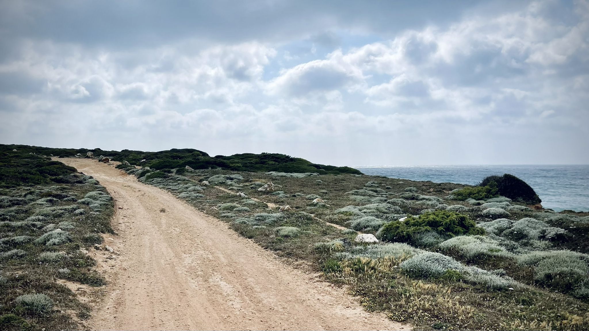 Trail-View.