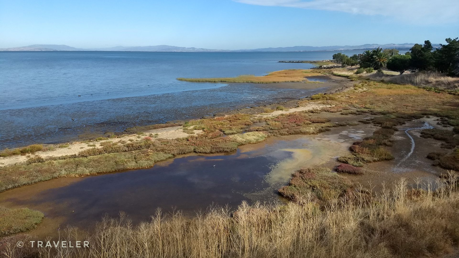 Wide view of a calm bay with marshland and distant hills under a clear sky. - Pinole Shores Park – Lone Tree Point Regional Park loop from Pinole