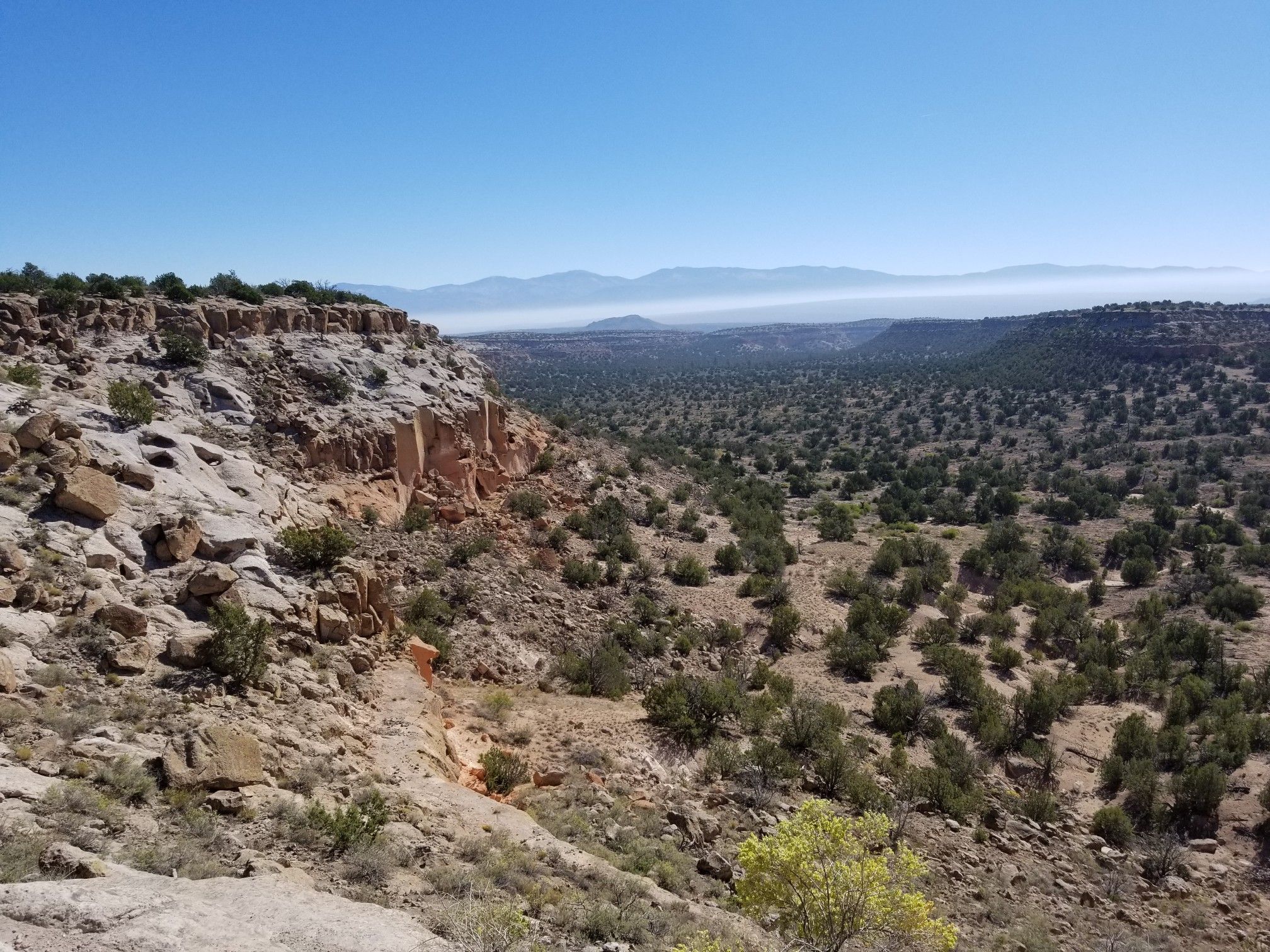 Expansive desert canyon with rocky cliffs and scattered green trees. - Tsankawi Loop Trail