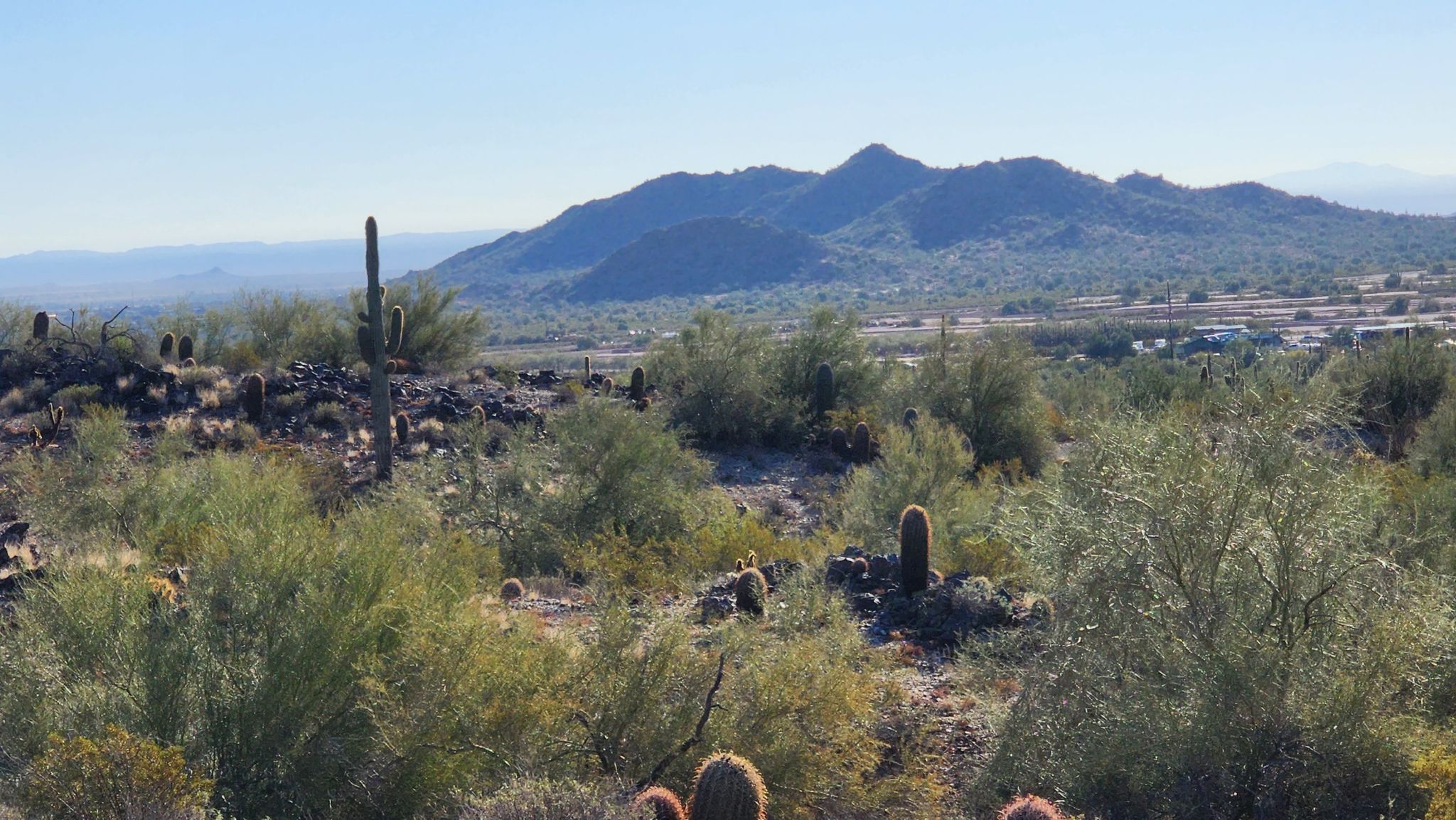 Sunny desert view with mountains, saguaro cacti, and distant urban area. - Goldmine, San Tan, and Moonlight Loop