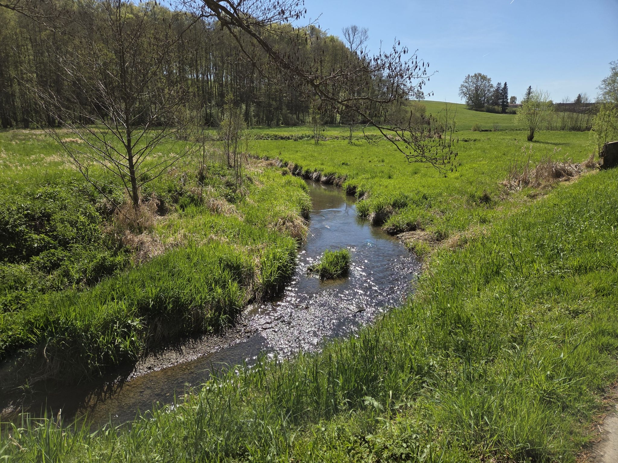 Rotbach