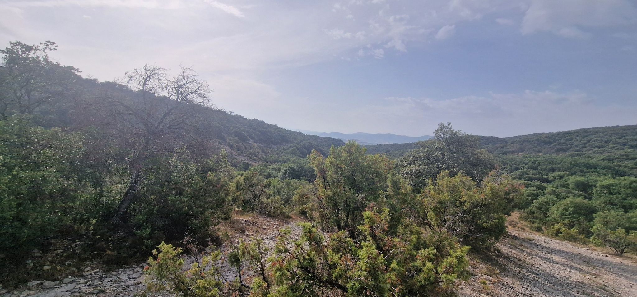 vistas