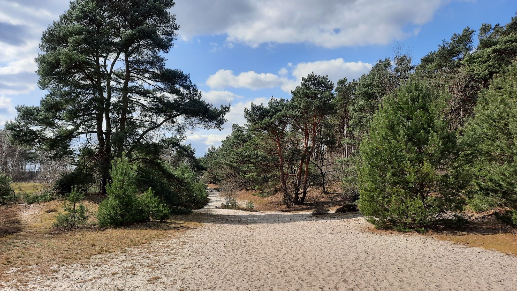 Dünenweg