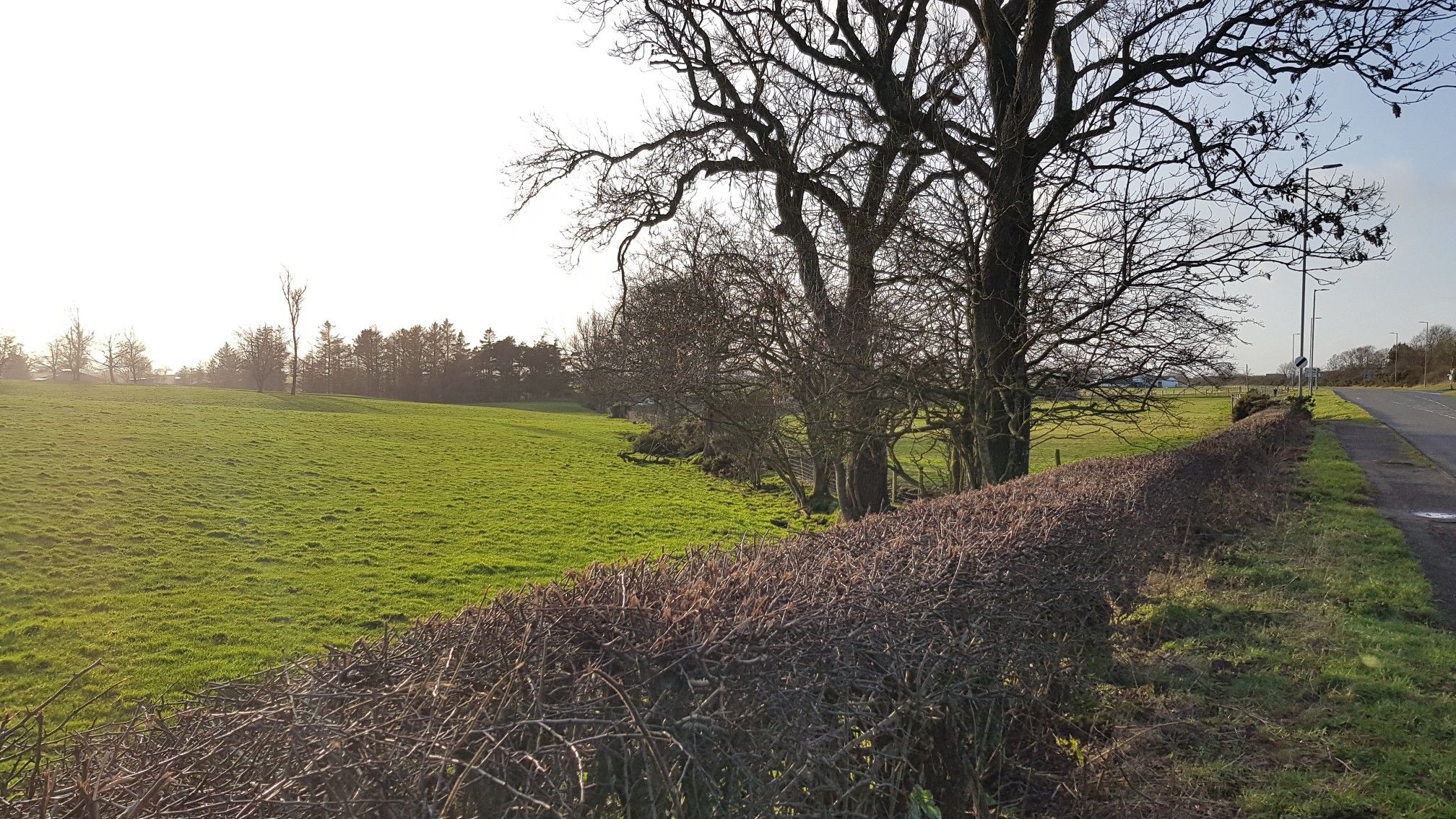 before fields on both sides