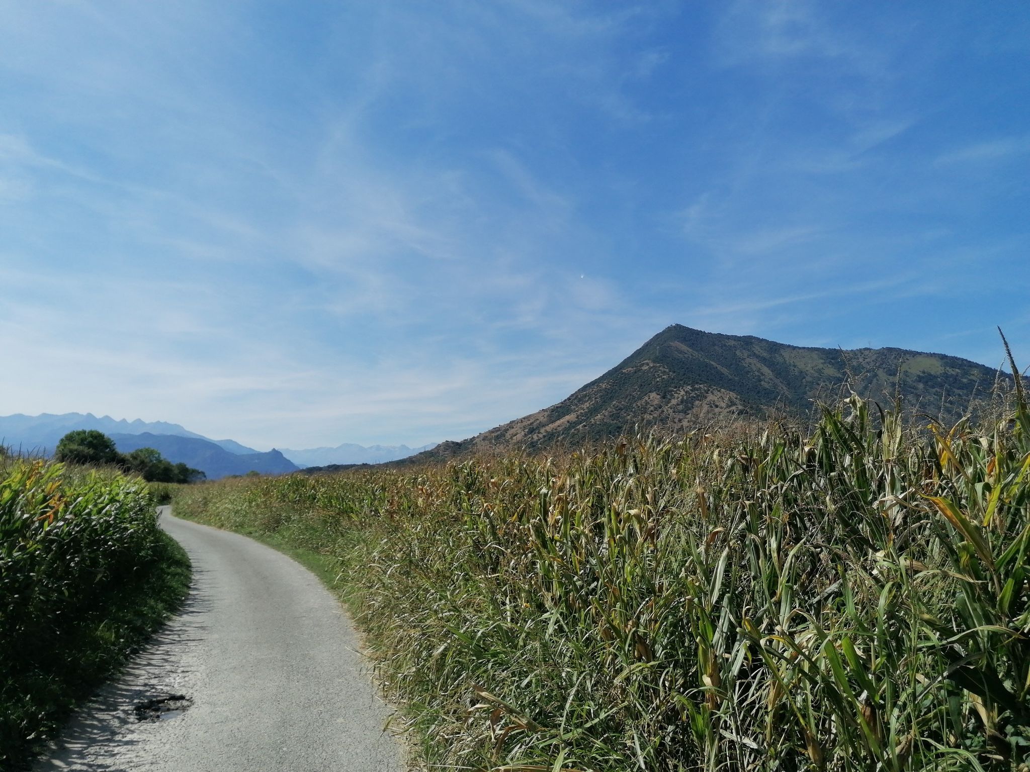 Monte Mousiné