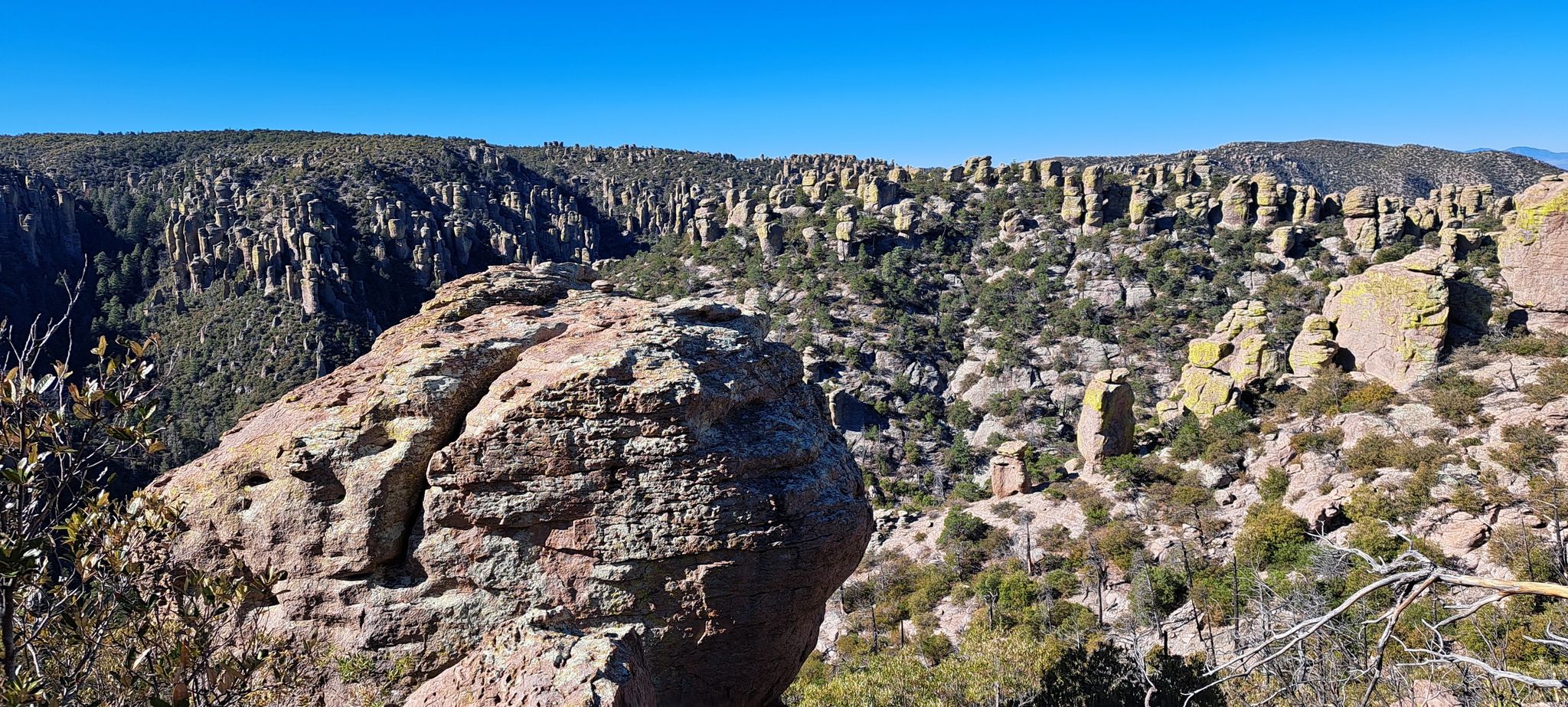 Panoramic view of a canyon filled with numerous rock formations under a clear sky. - Massai Point Nature Trail