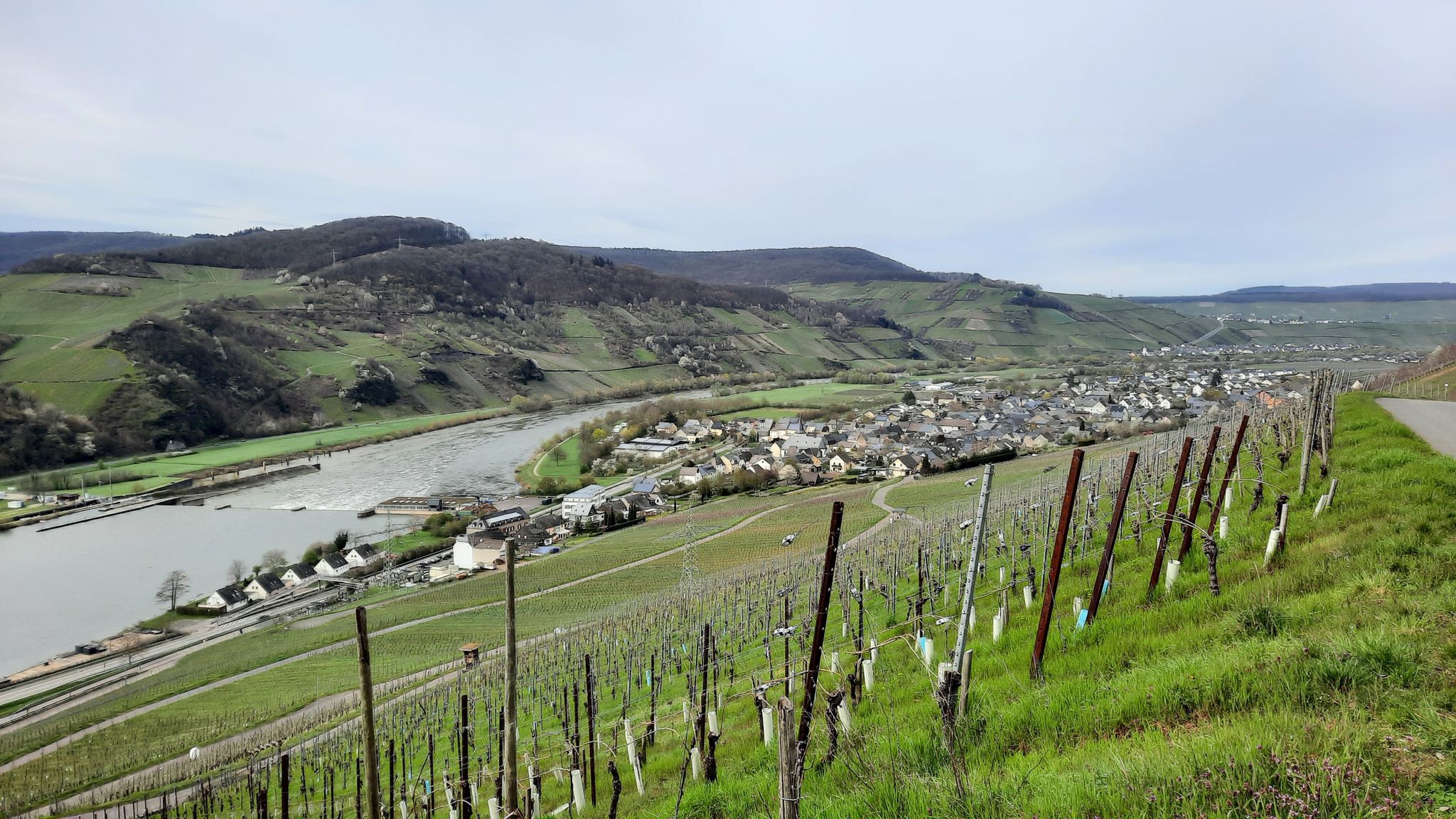Blick auf Wintrich