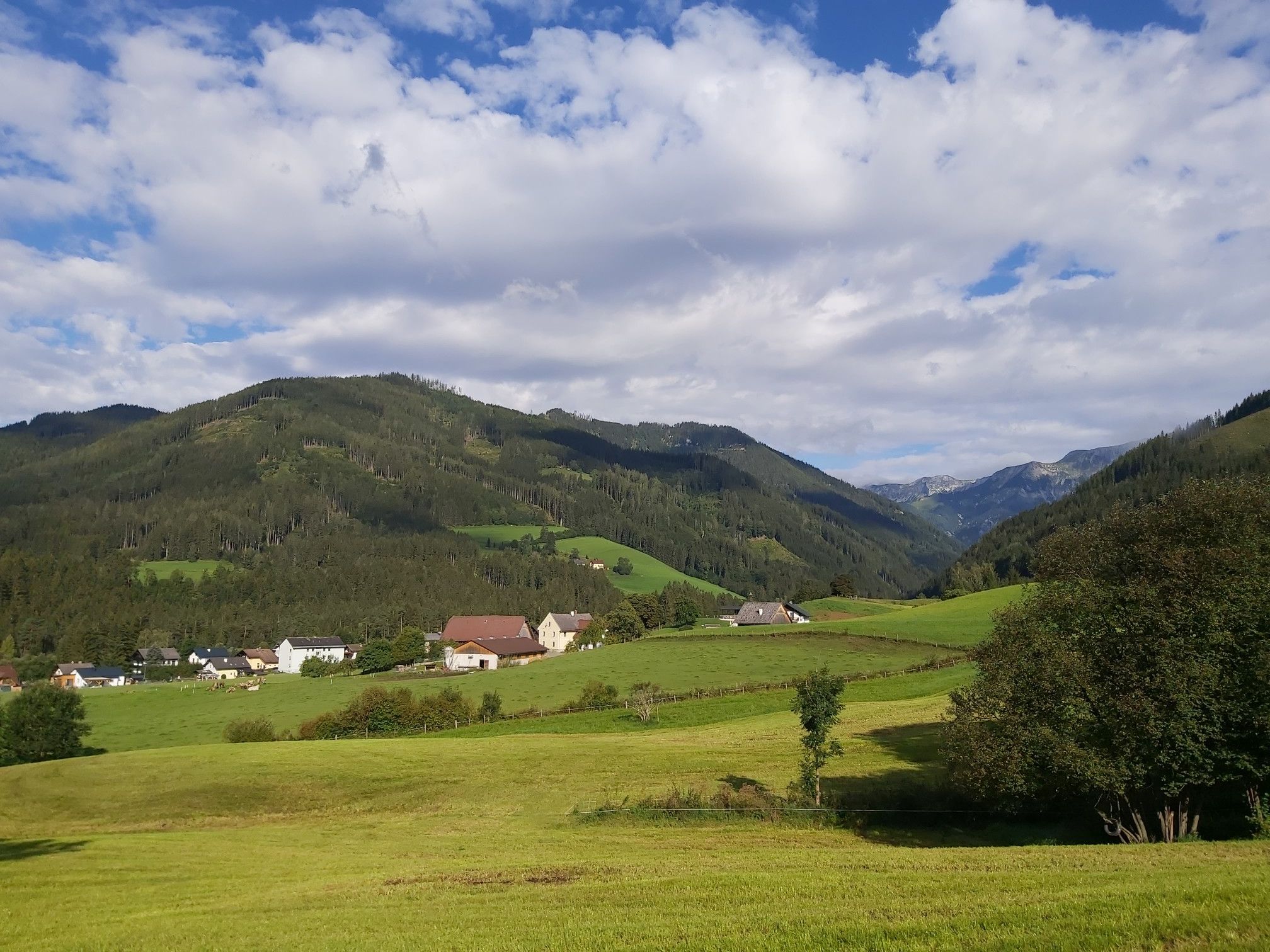 Landschaft