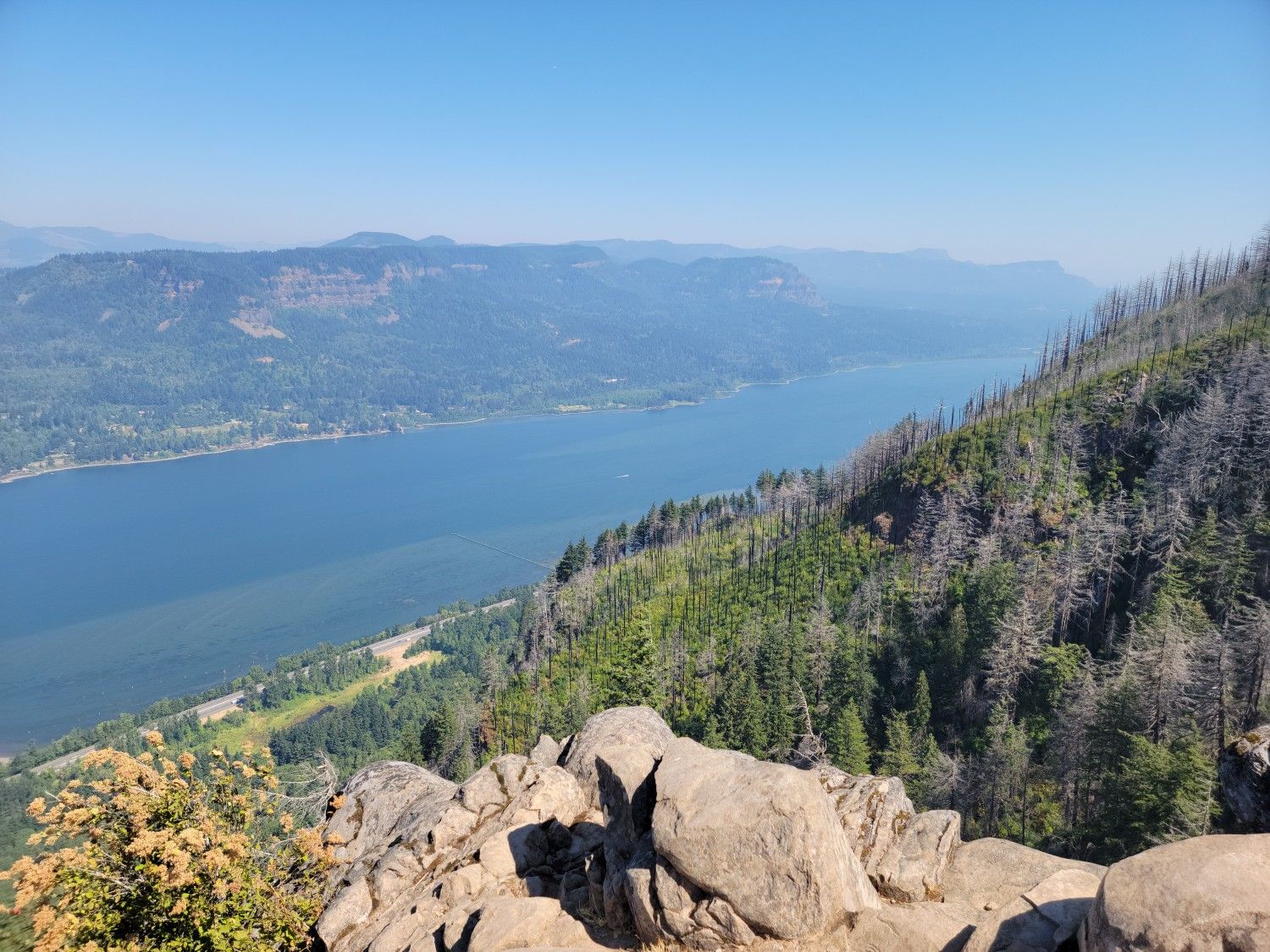 Wide river flows through forested mountains on a bright, clear day. - Angel's Rest Trail
