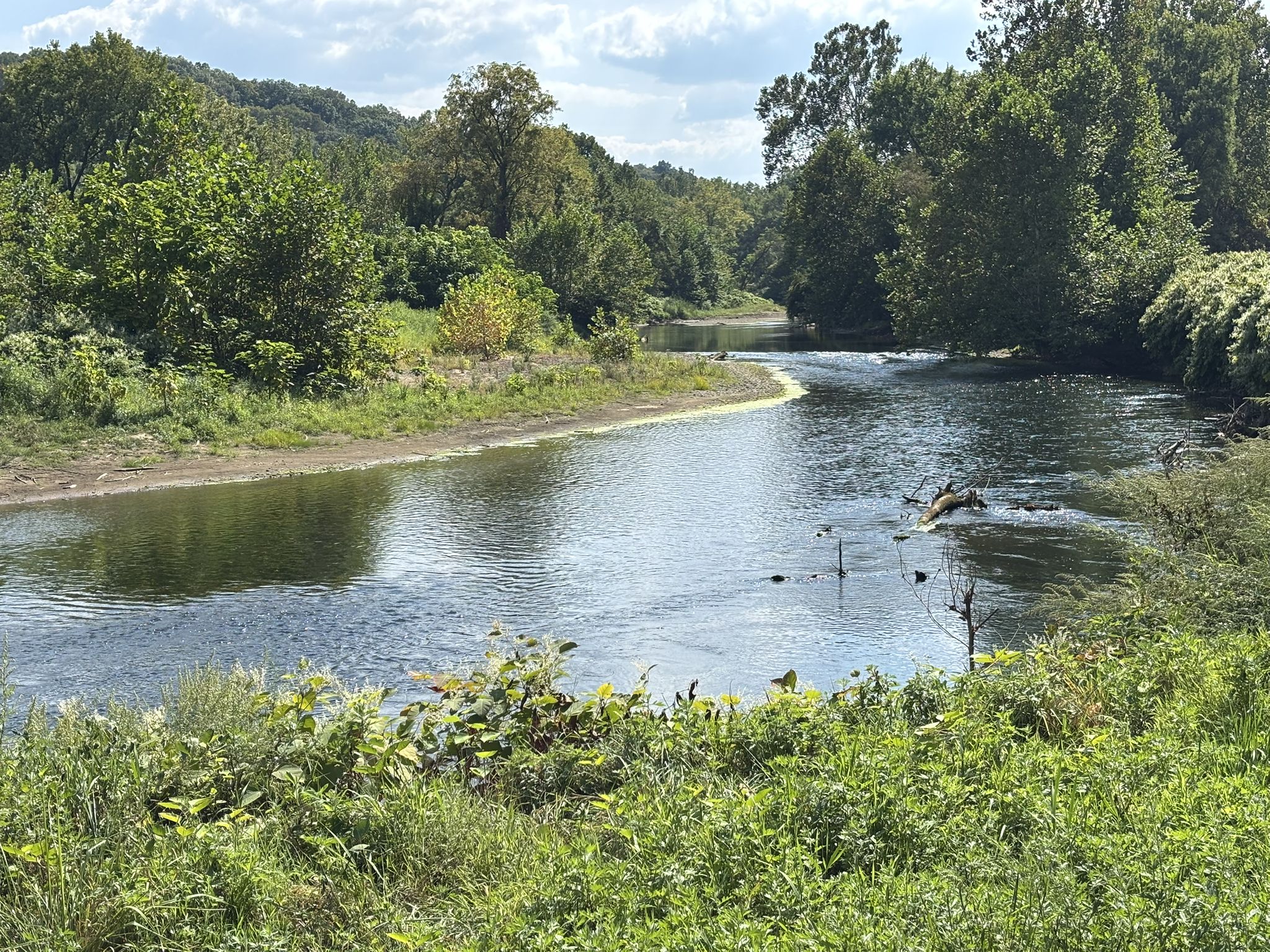 A winding river flows through lush green banks under a bright sky. - Boston Trailhead – Cuyahoga River Bridge loop from Botzum