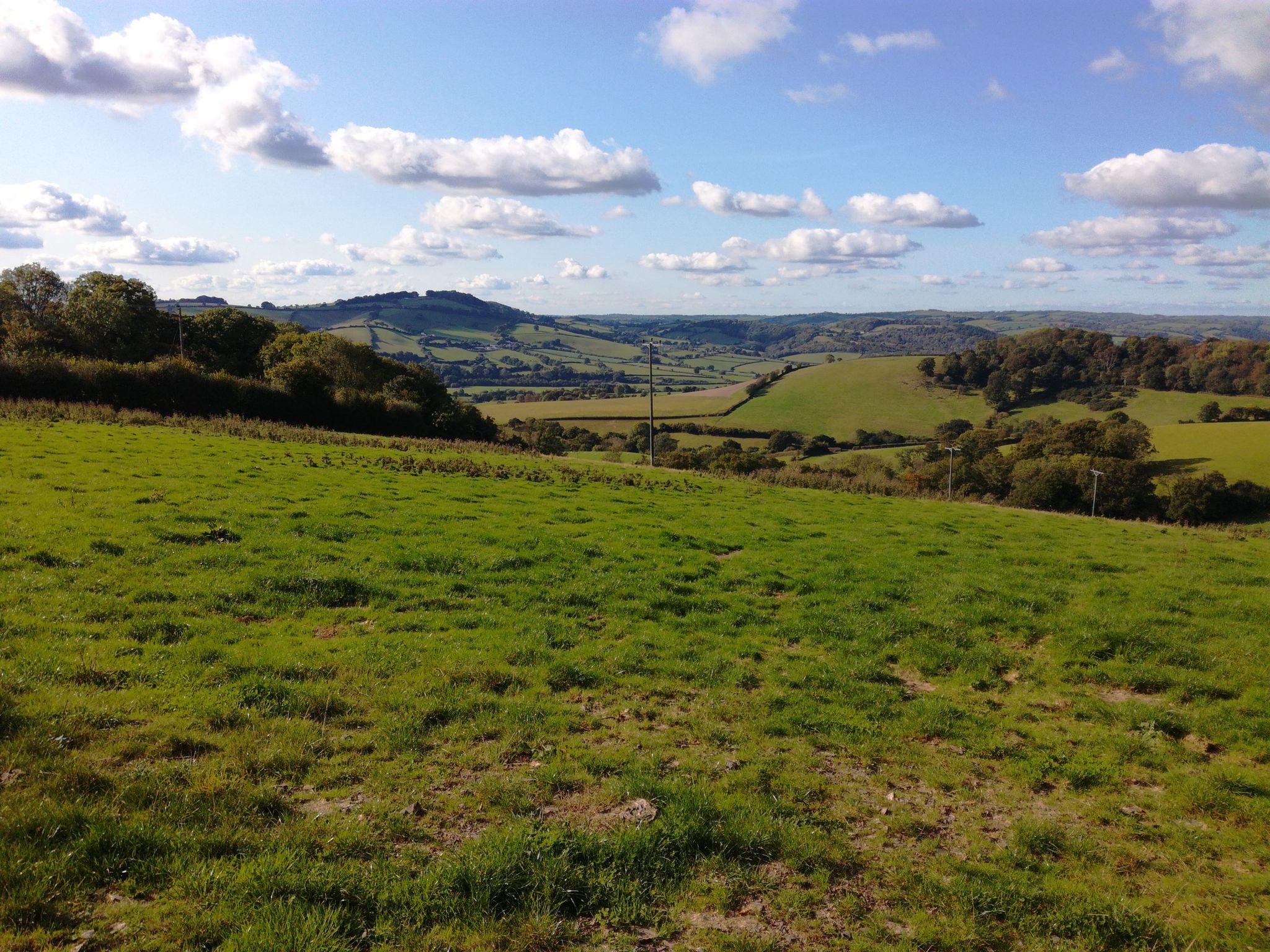 Rolling Devon countryside