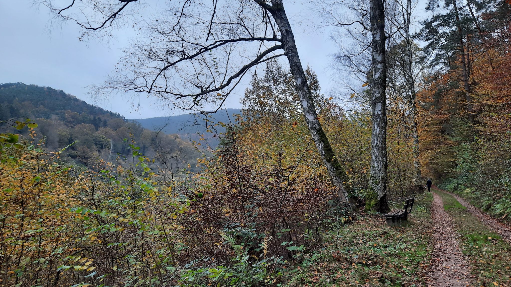Entlang des Stempelweges